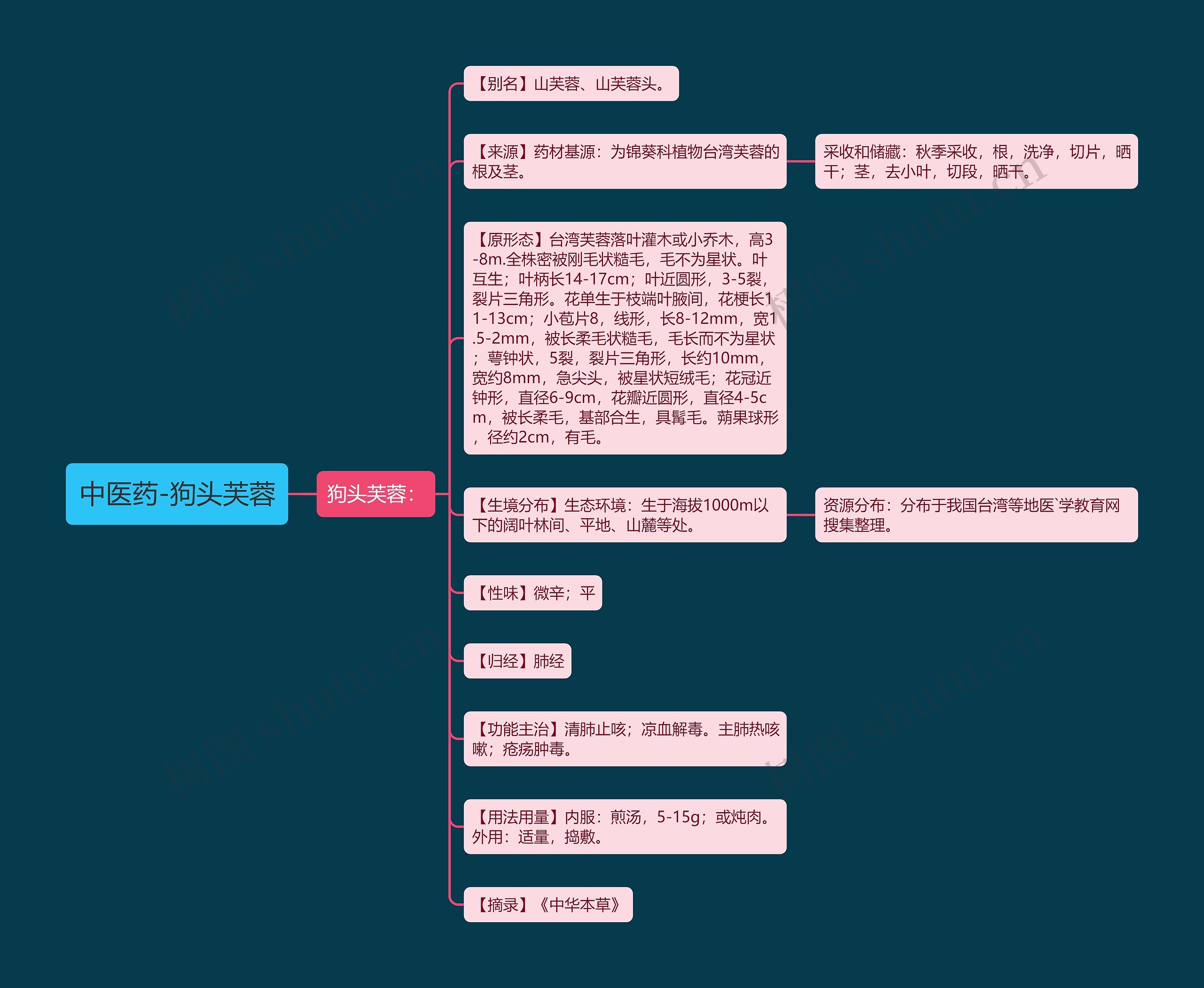 中医药-狗头芙蓉思维导图