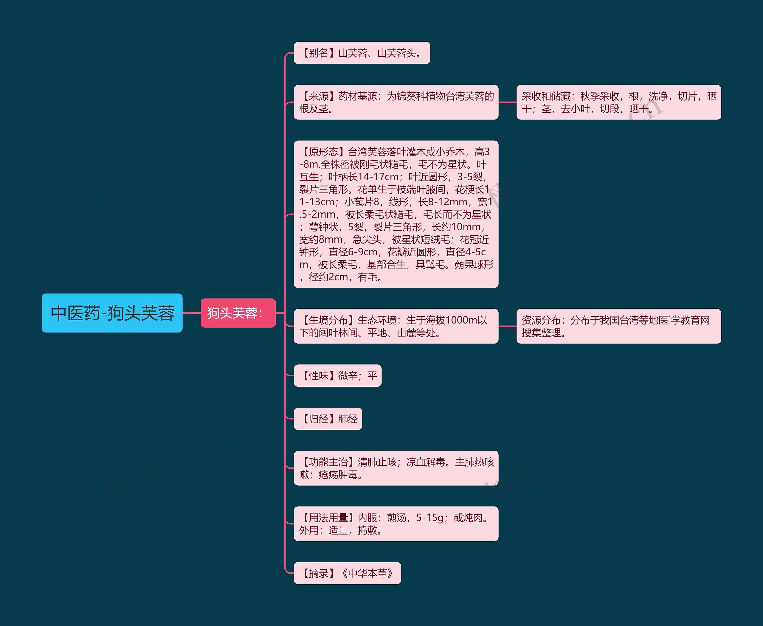 中医药-狗头芙蓉 中医药-狗头芙蓉