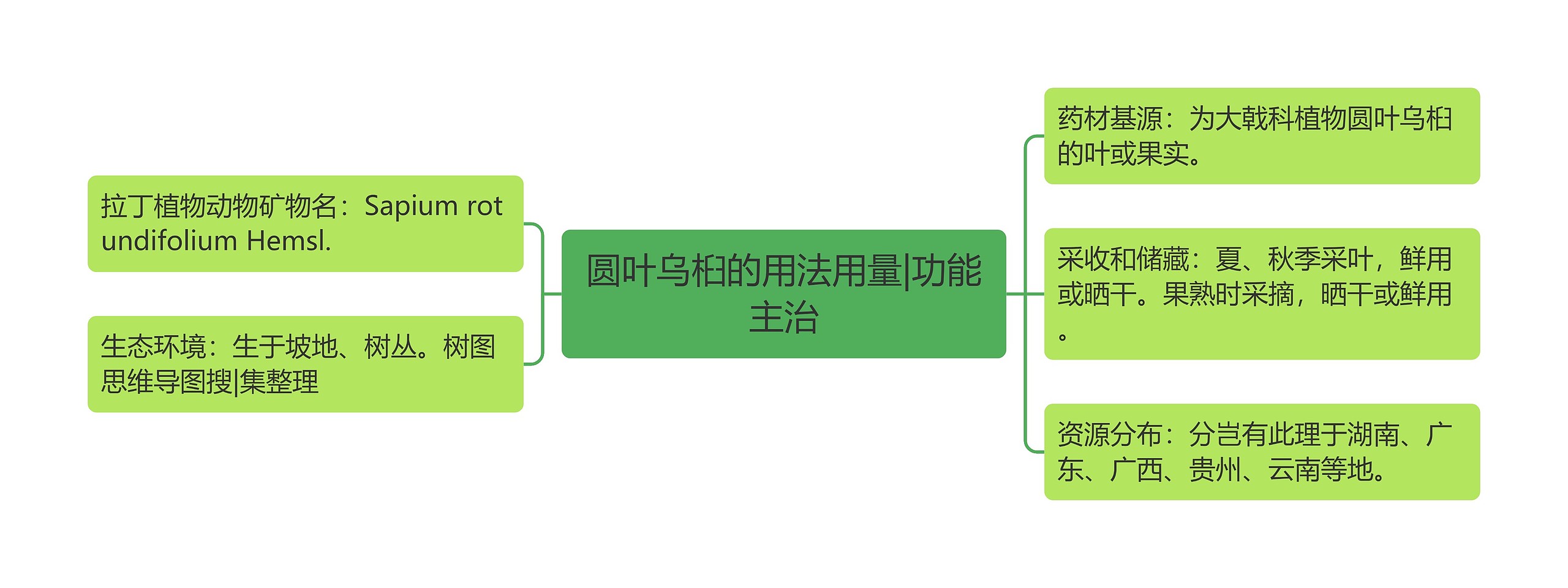 圆叶乌桕的用法用量|功能主治