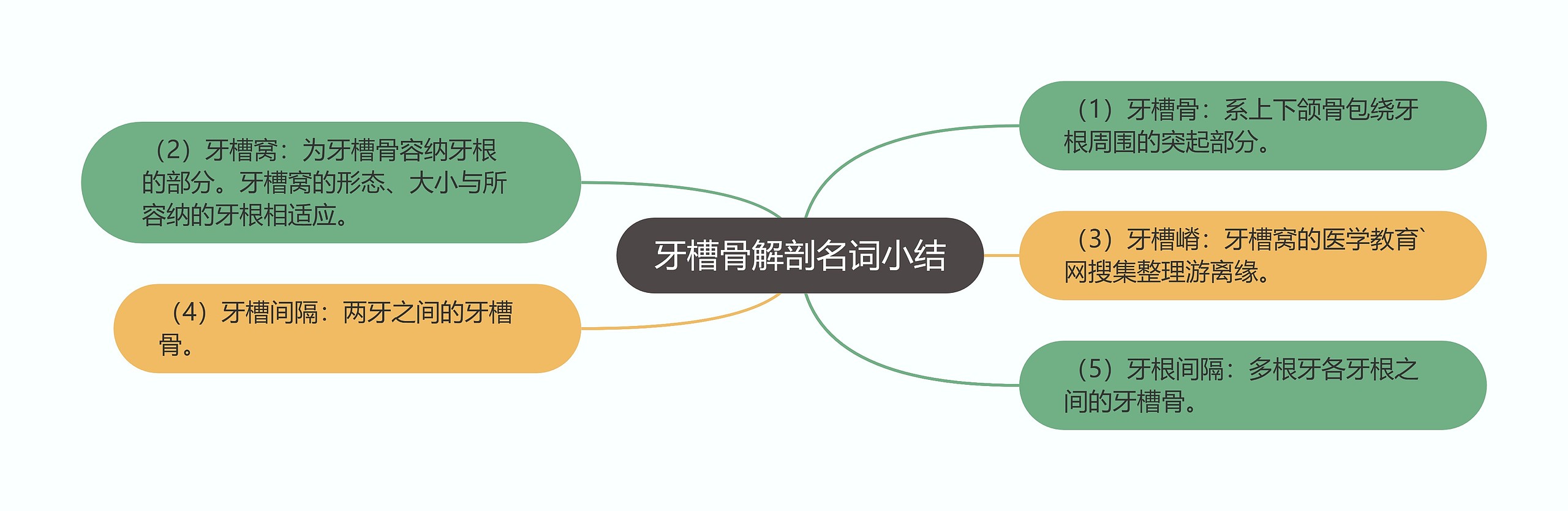 牙槽骨解剖名词小结 牙槽骨解剖名词小结