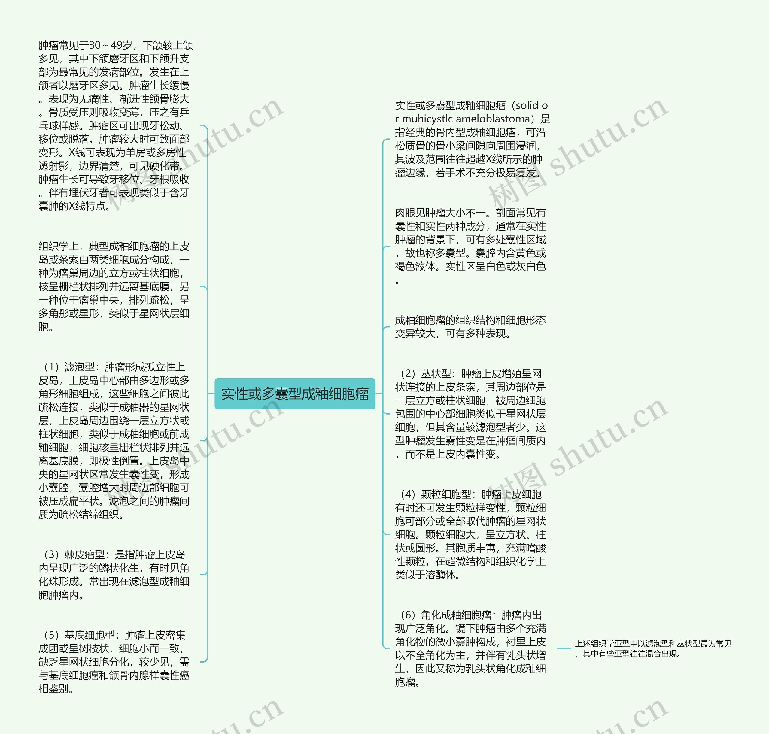 实性或多囊型成釉细胞瘤