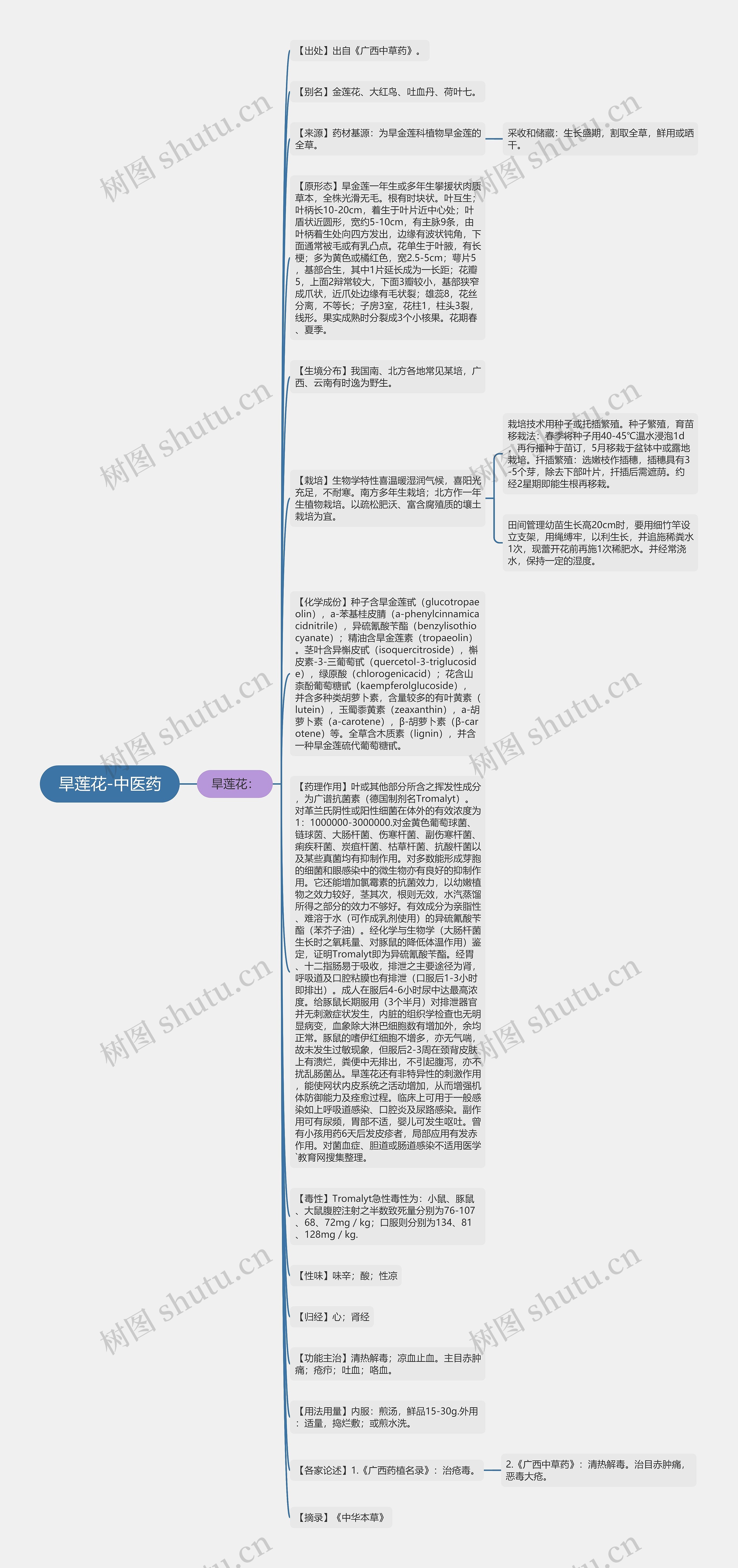 旱莲花-中医药思维导图