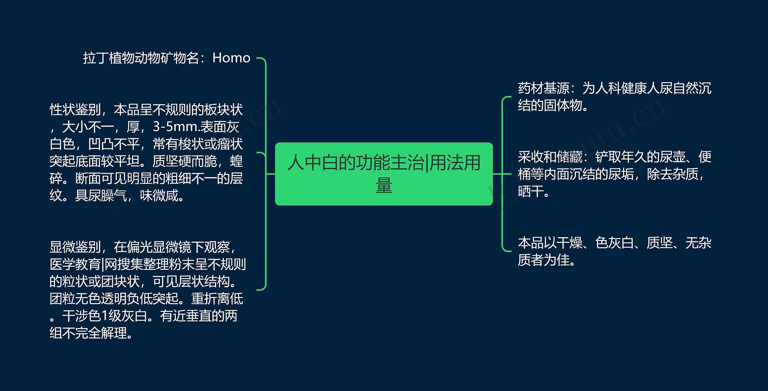 人中白的功能主治|用法用量