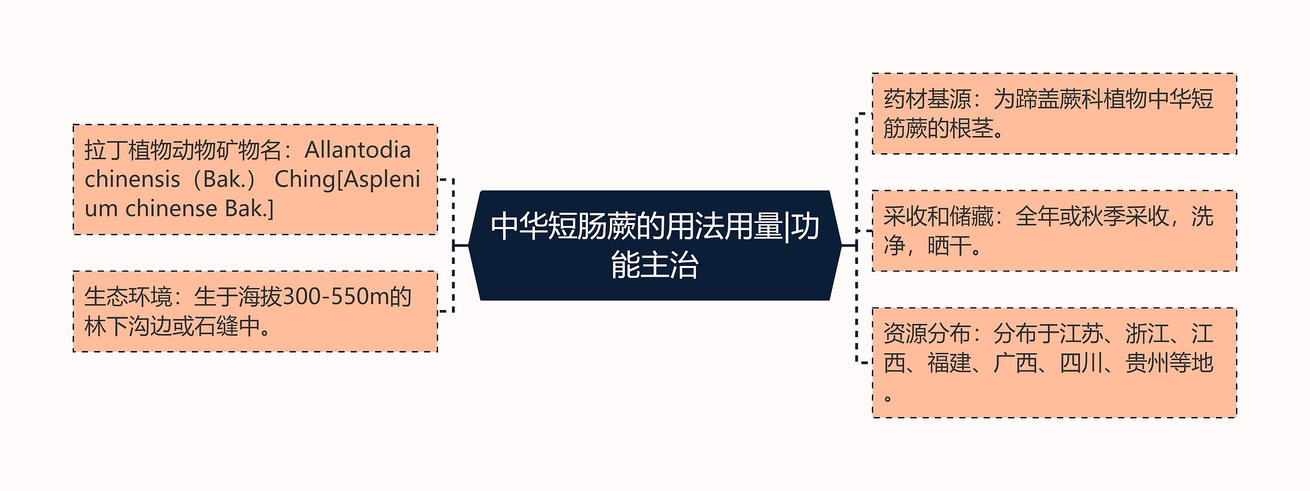 中华短肠蕨的用法用量|功能主治思维导图