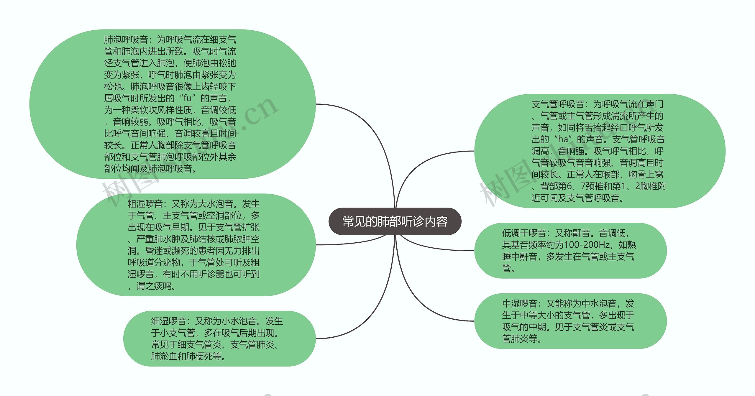 常见的肺部听诊内容思维导图