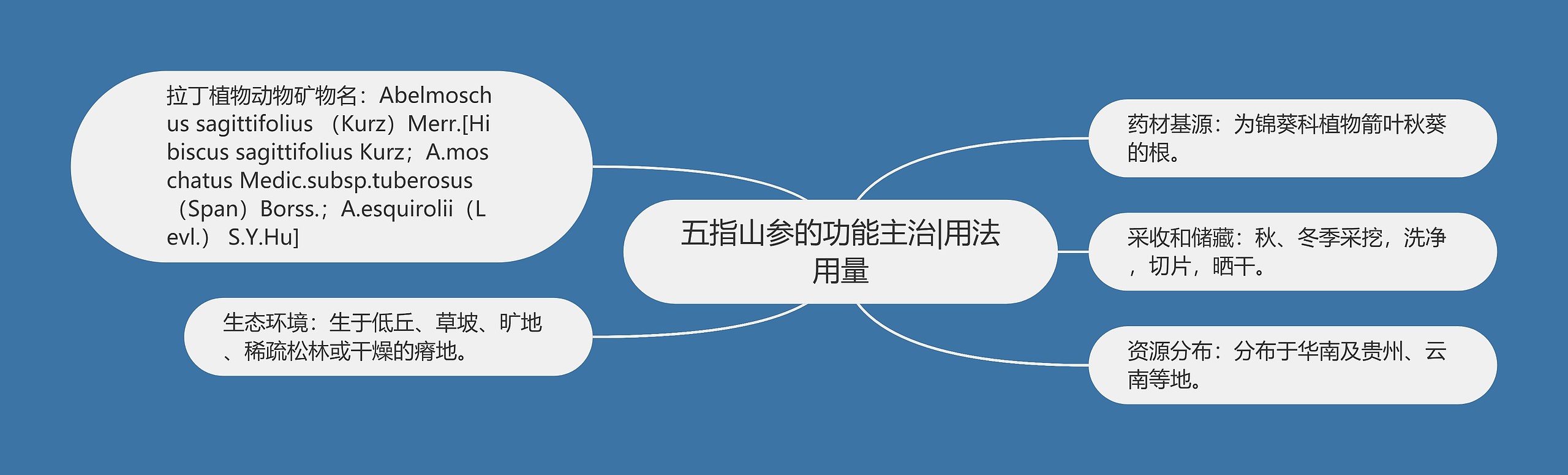 五指山参的功能主治|用法用量 五指山参的功能主治|用法用量