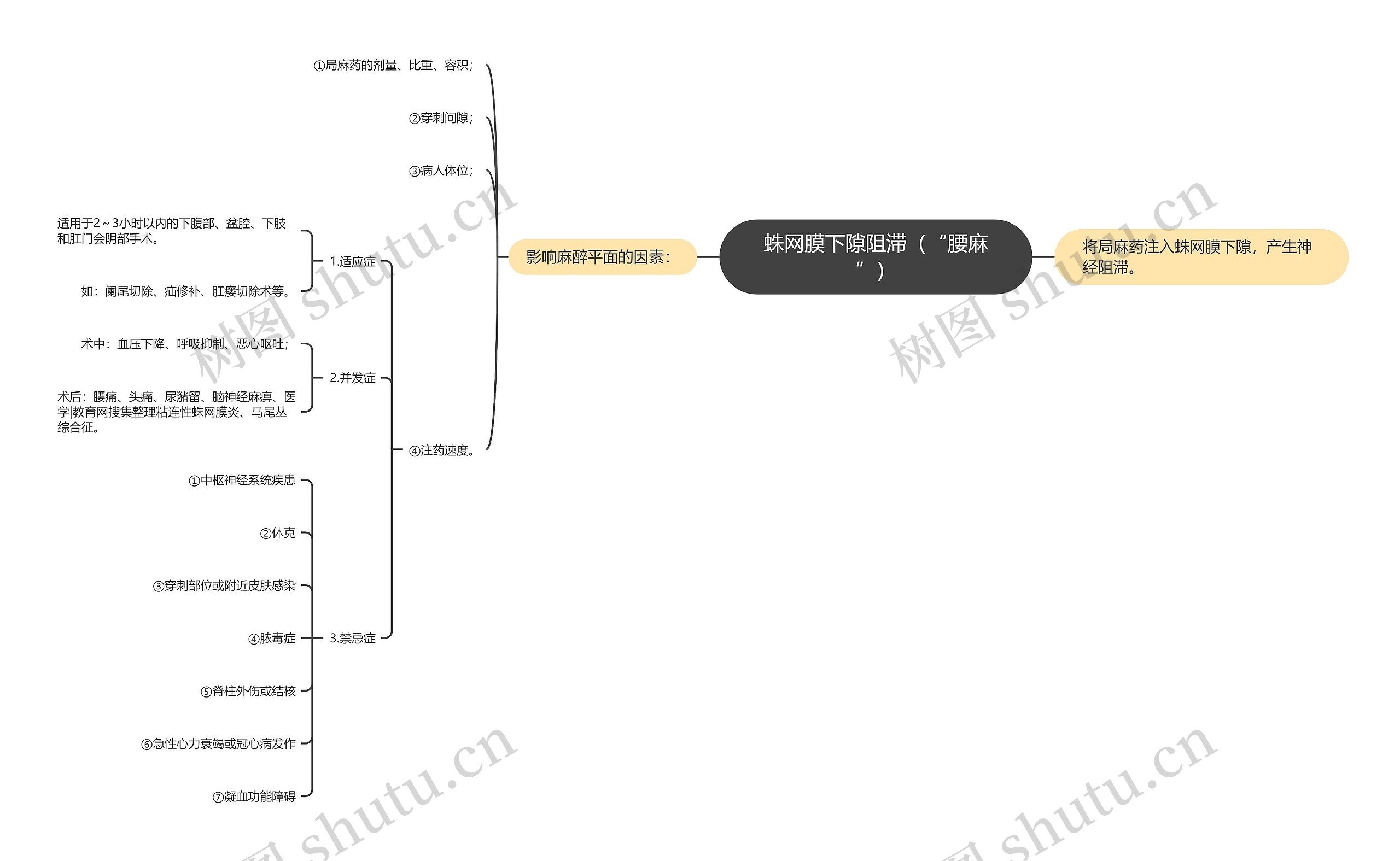 蛛网膜下隙阻滞（“腰麻”）思维导图