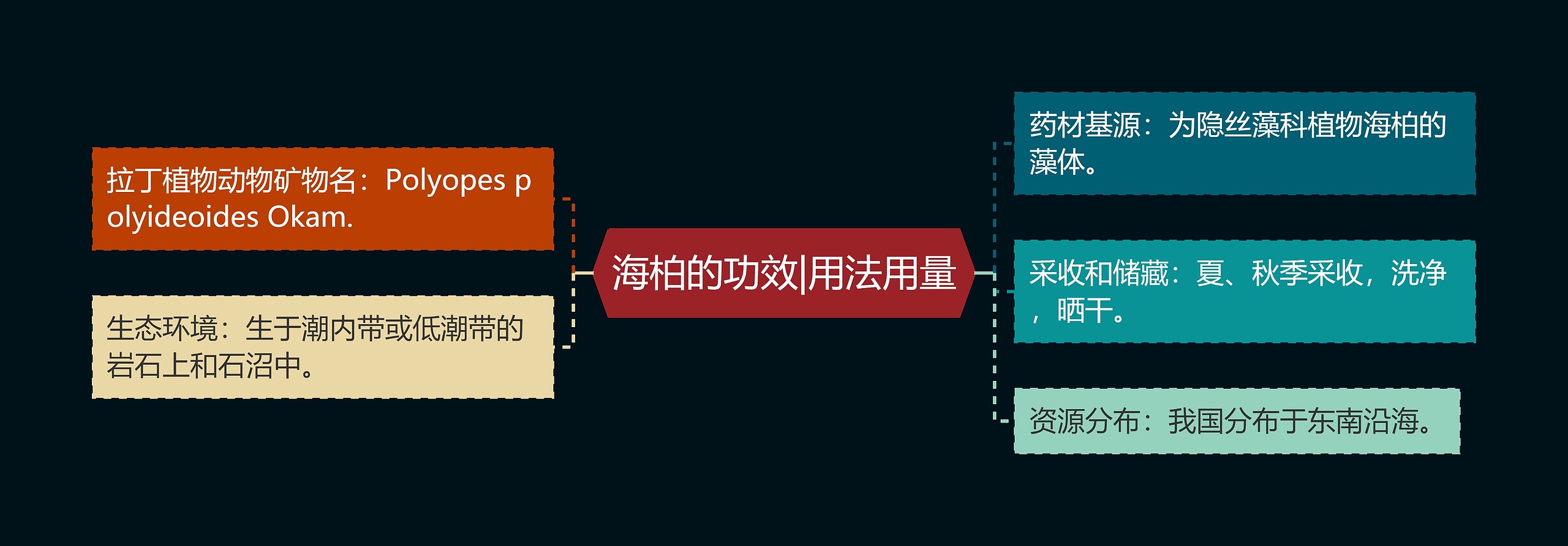 海柏的功效|用法用量