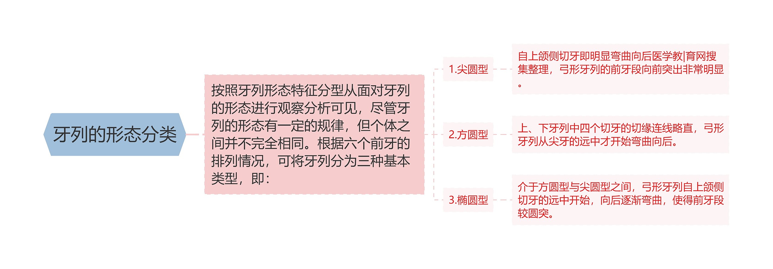 牙列的形态分类思维导图