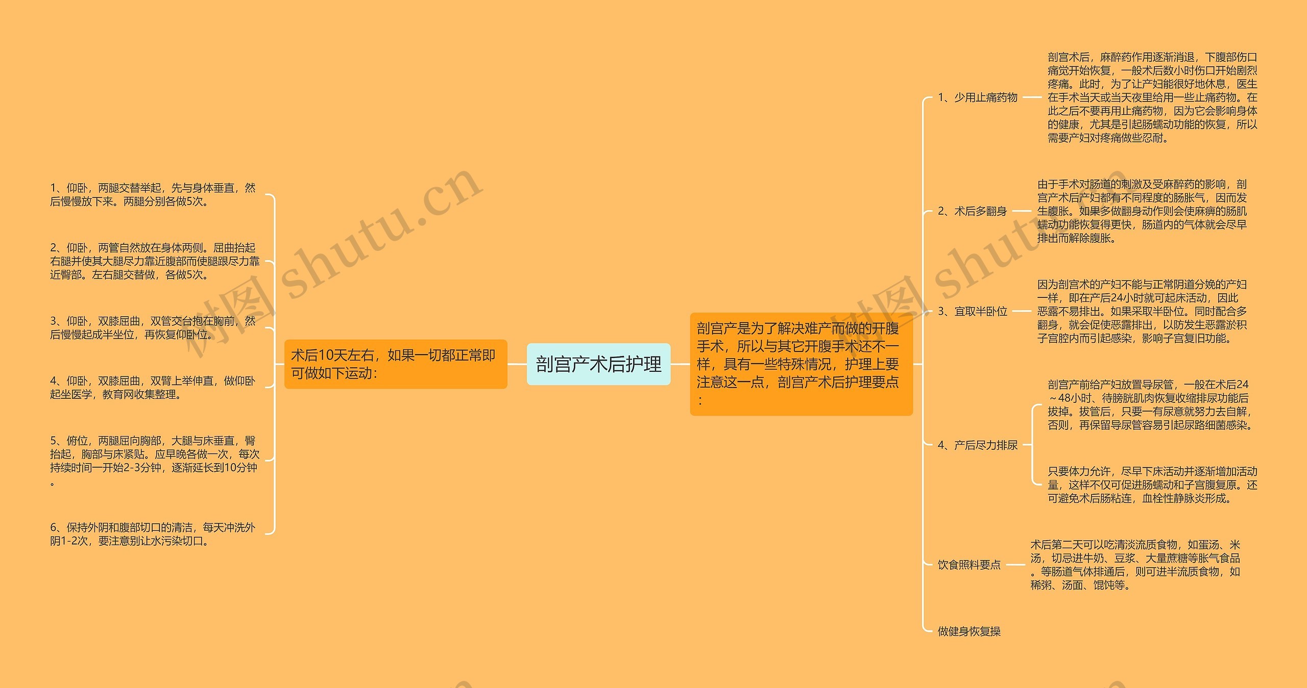 剖宫产术后护理