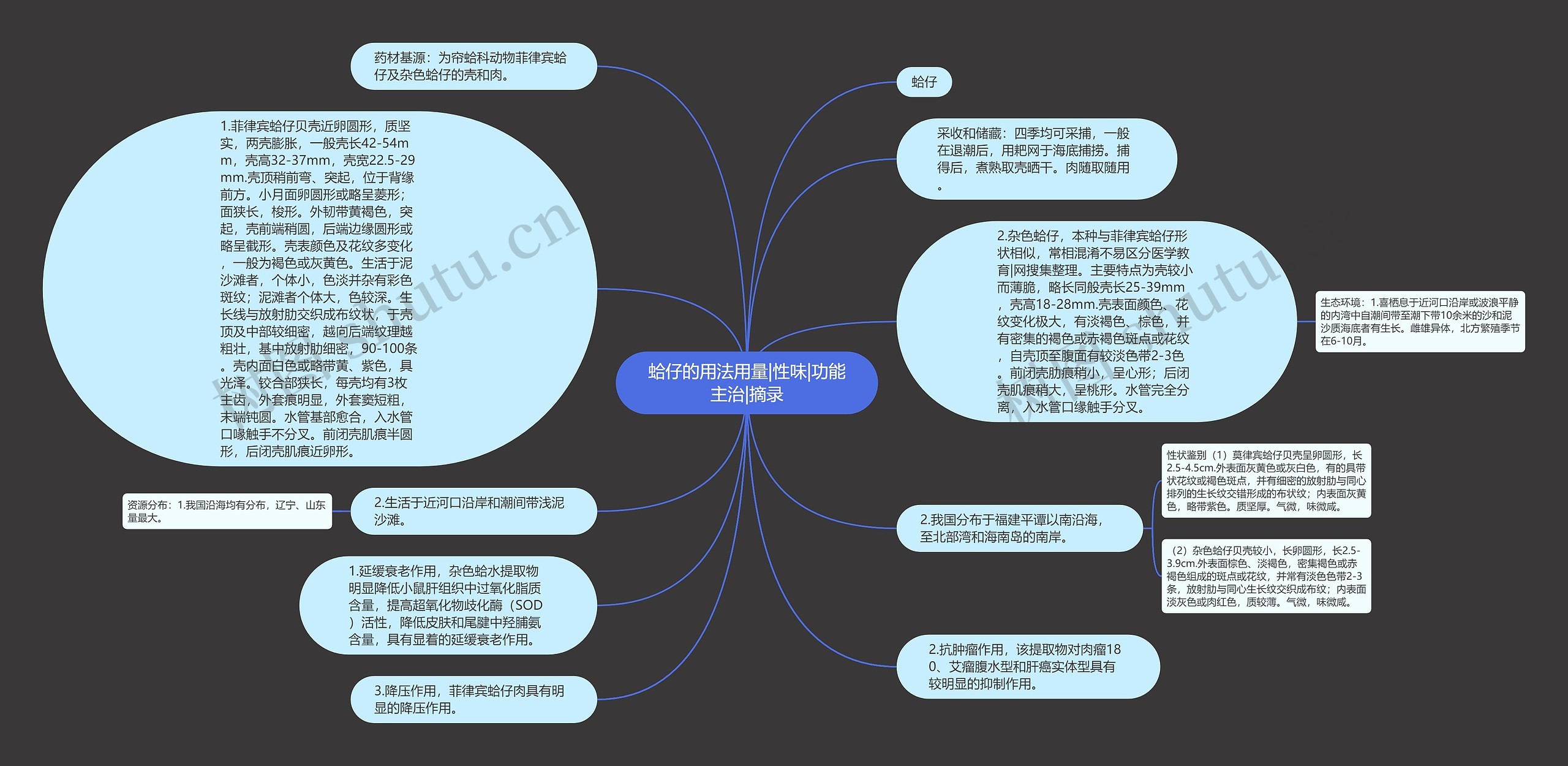 蛤仔的用法用量|性味|功能主治|摘录