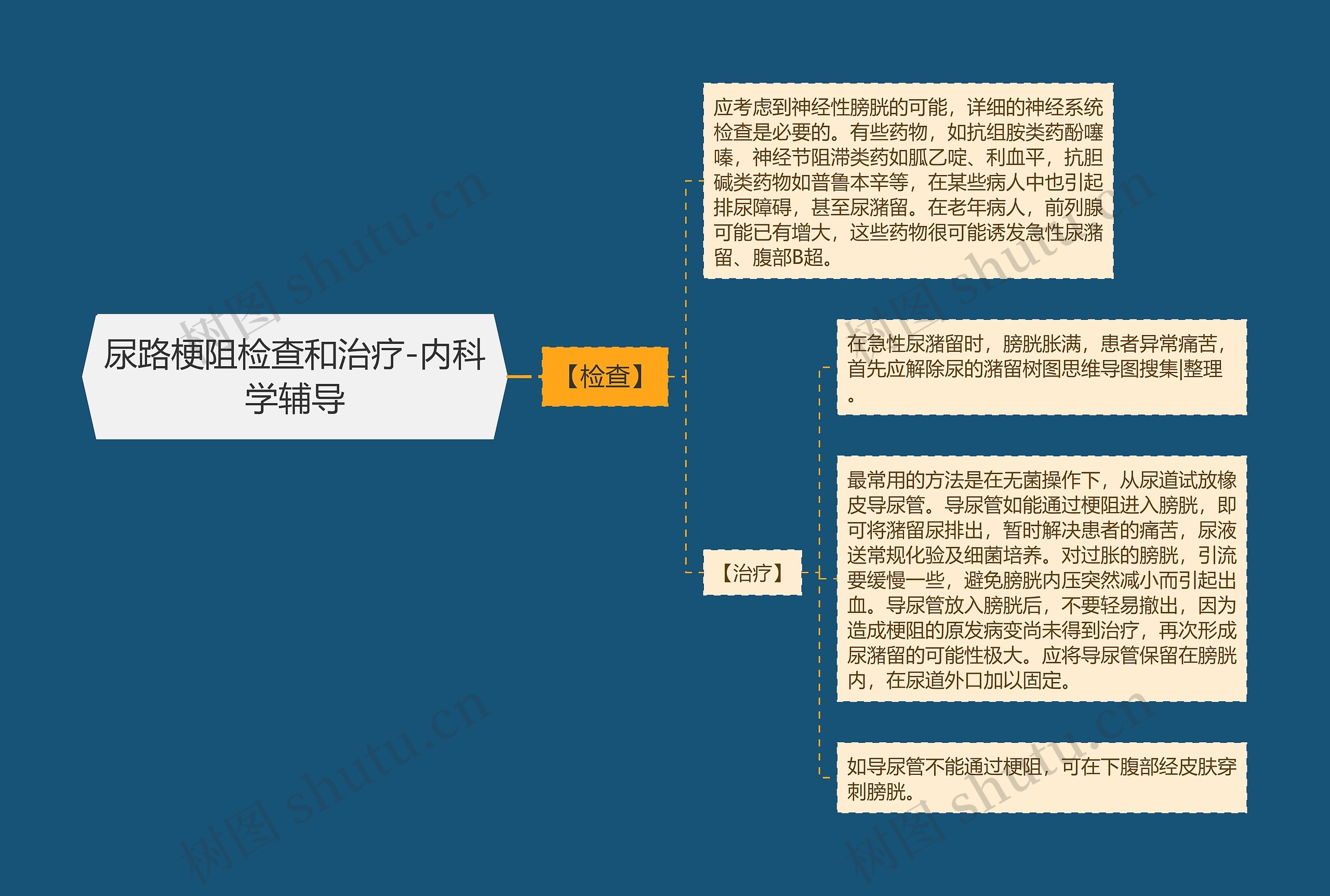 尿路梗阻检查和治疗-内科学辅导思维导图