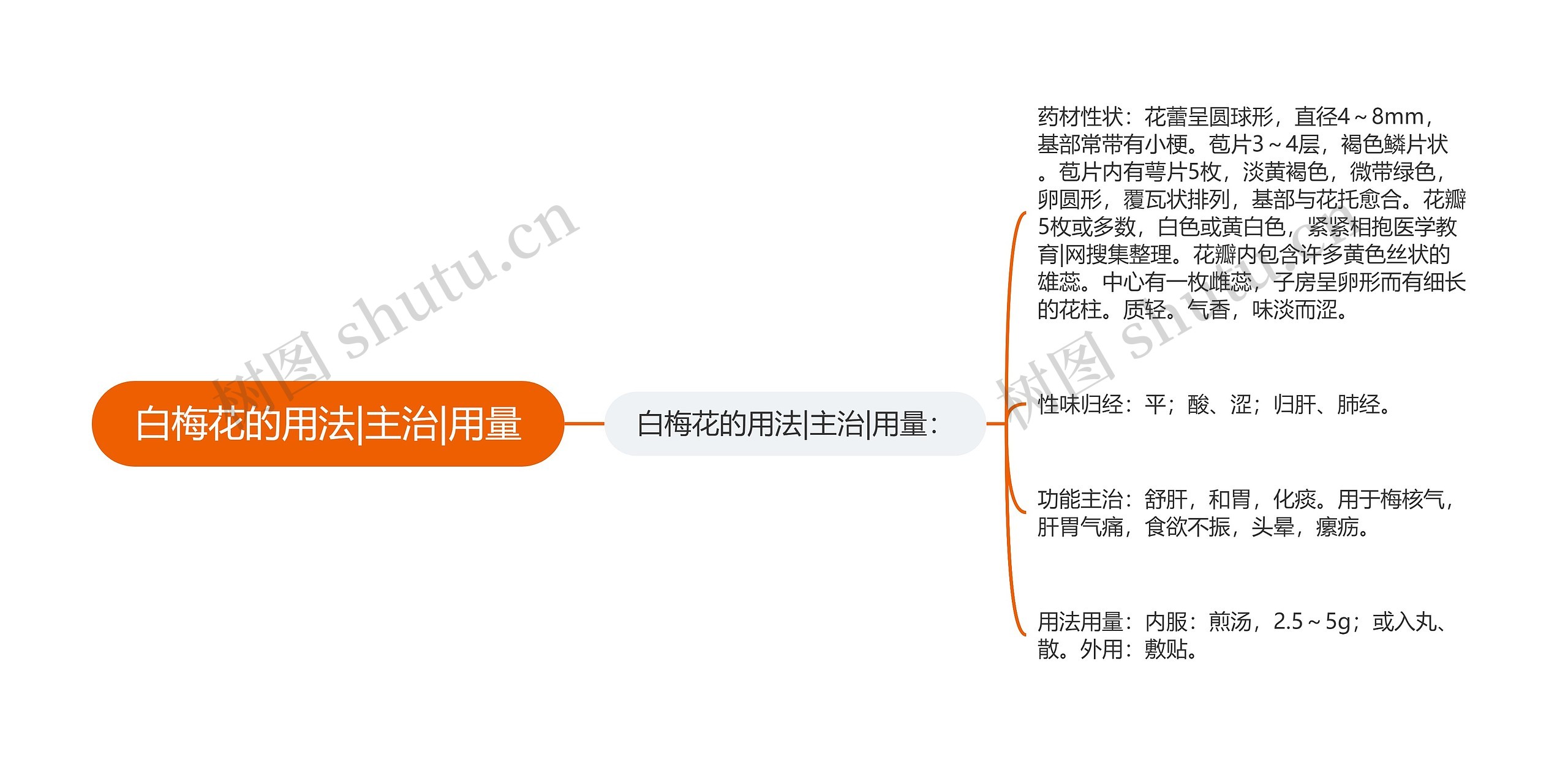 白梅花的用法|主治|用量思维导图