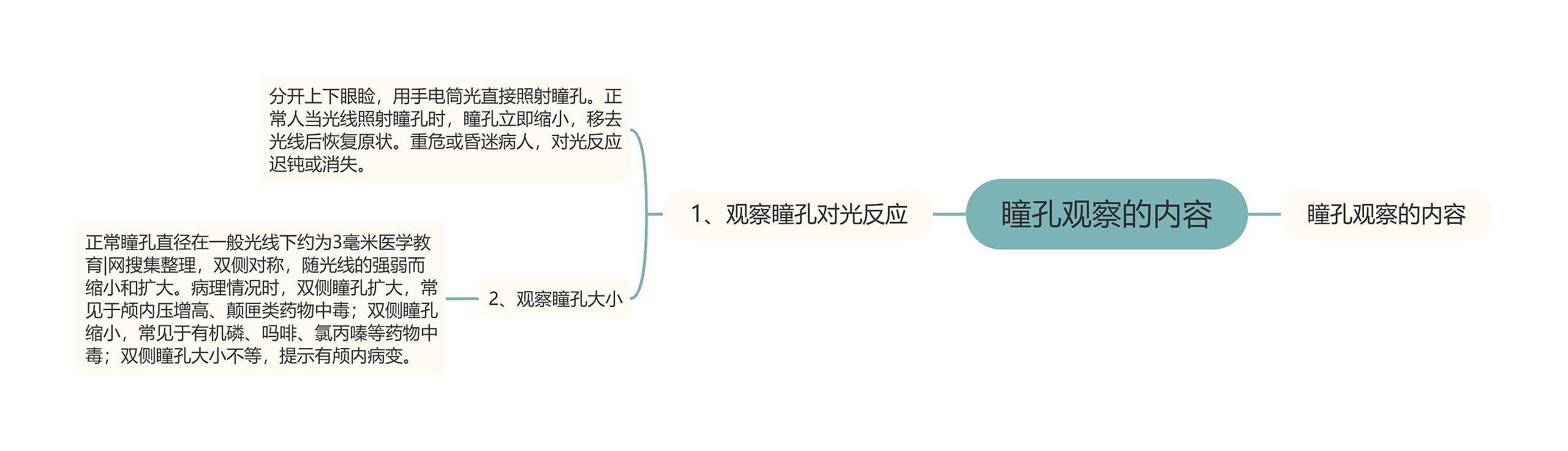 瞳孔观察的内容思维导图