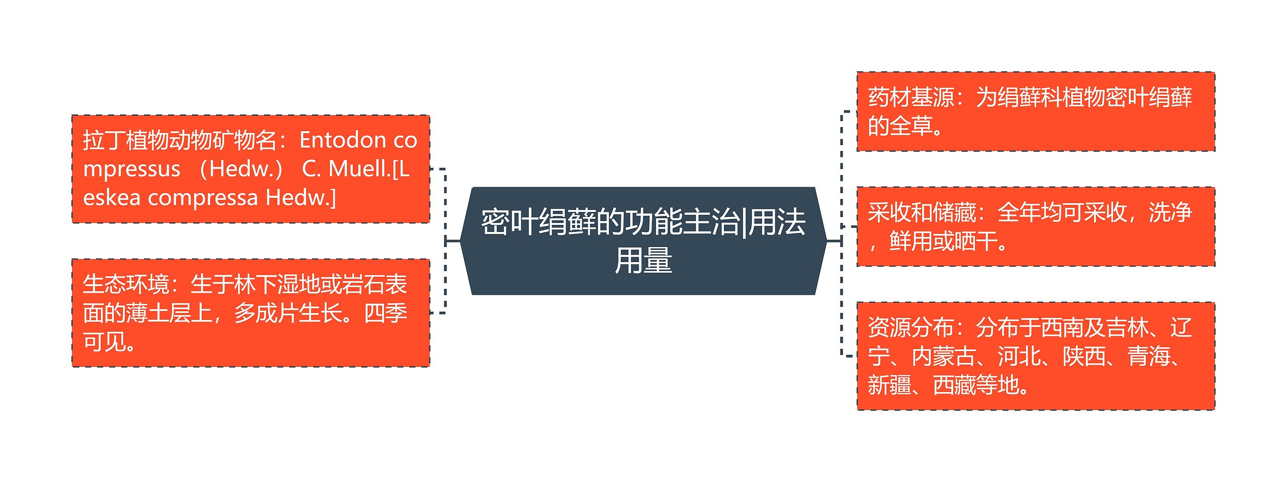 密叶绢藓的功能主治|用法用量思维导图