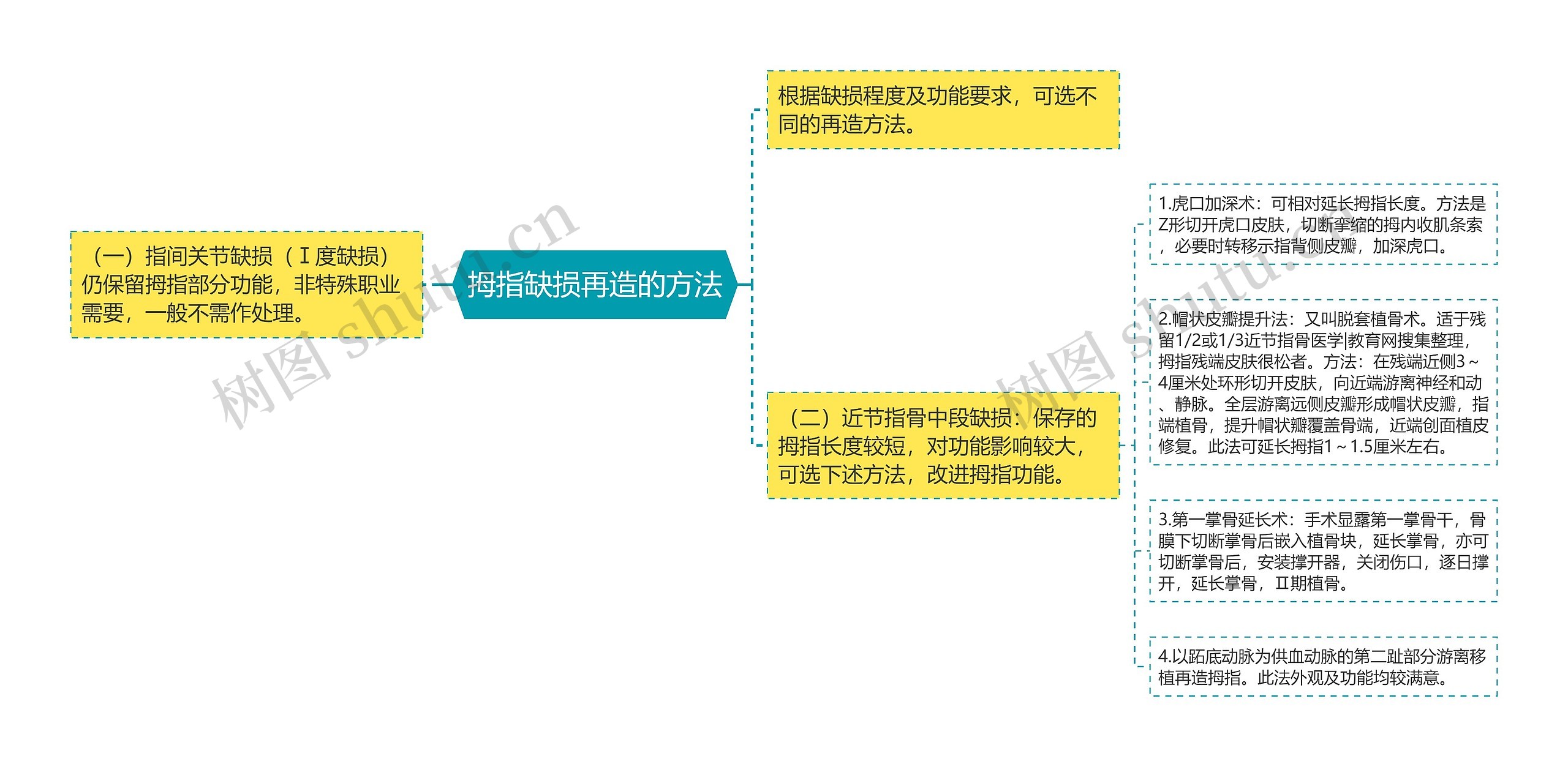 拇指缺损再造的方法