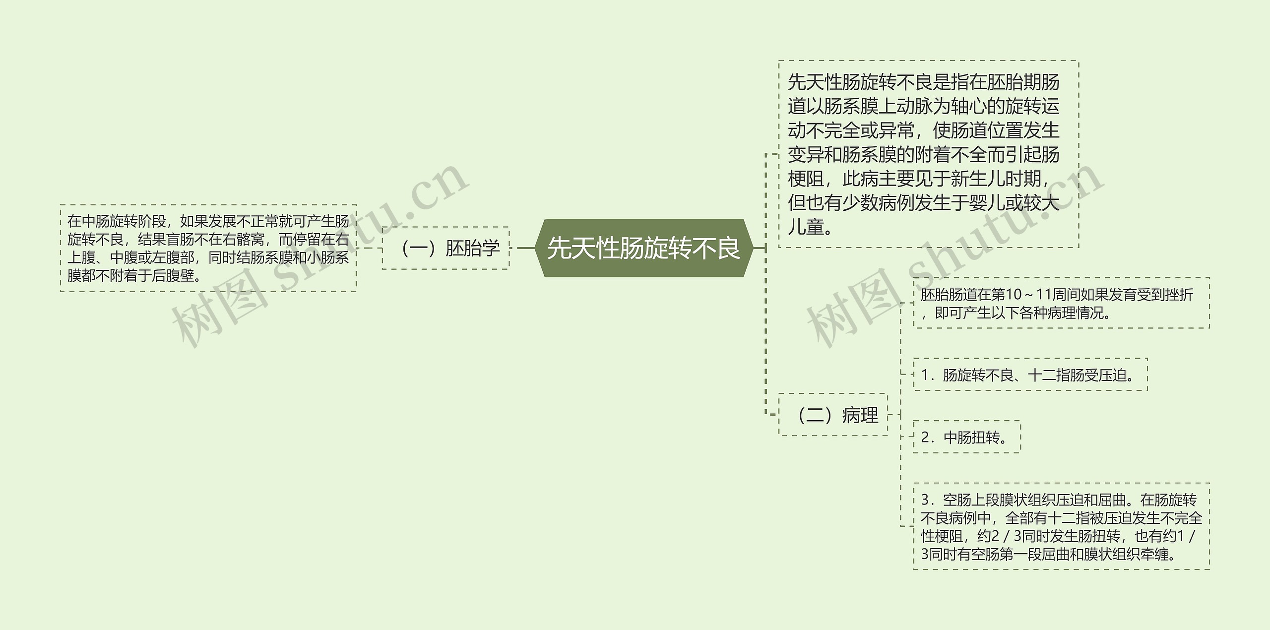 先天性肠旋转不良思维导图