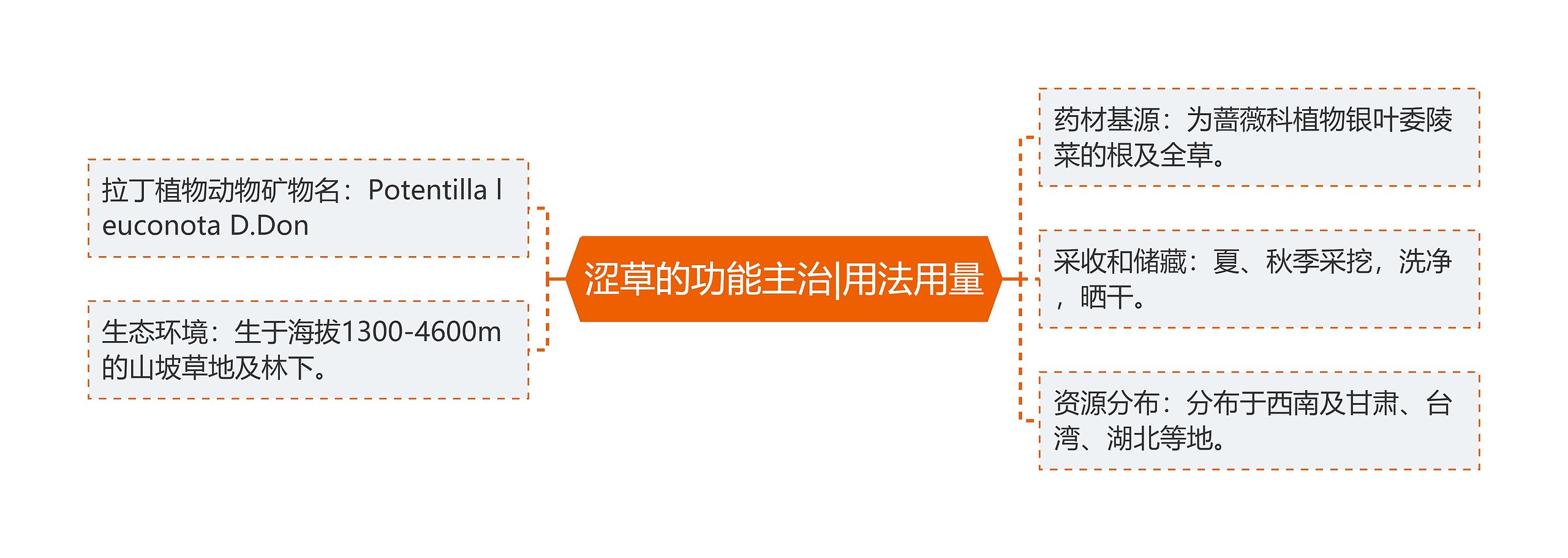 涩草的功能主治|用法用量 涩草的功能主治|用法用量