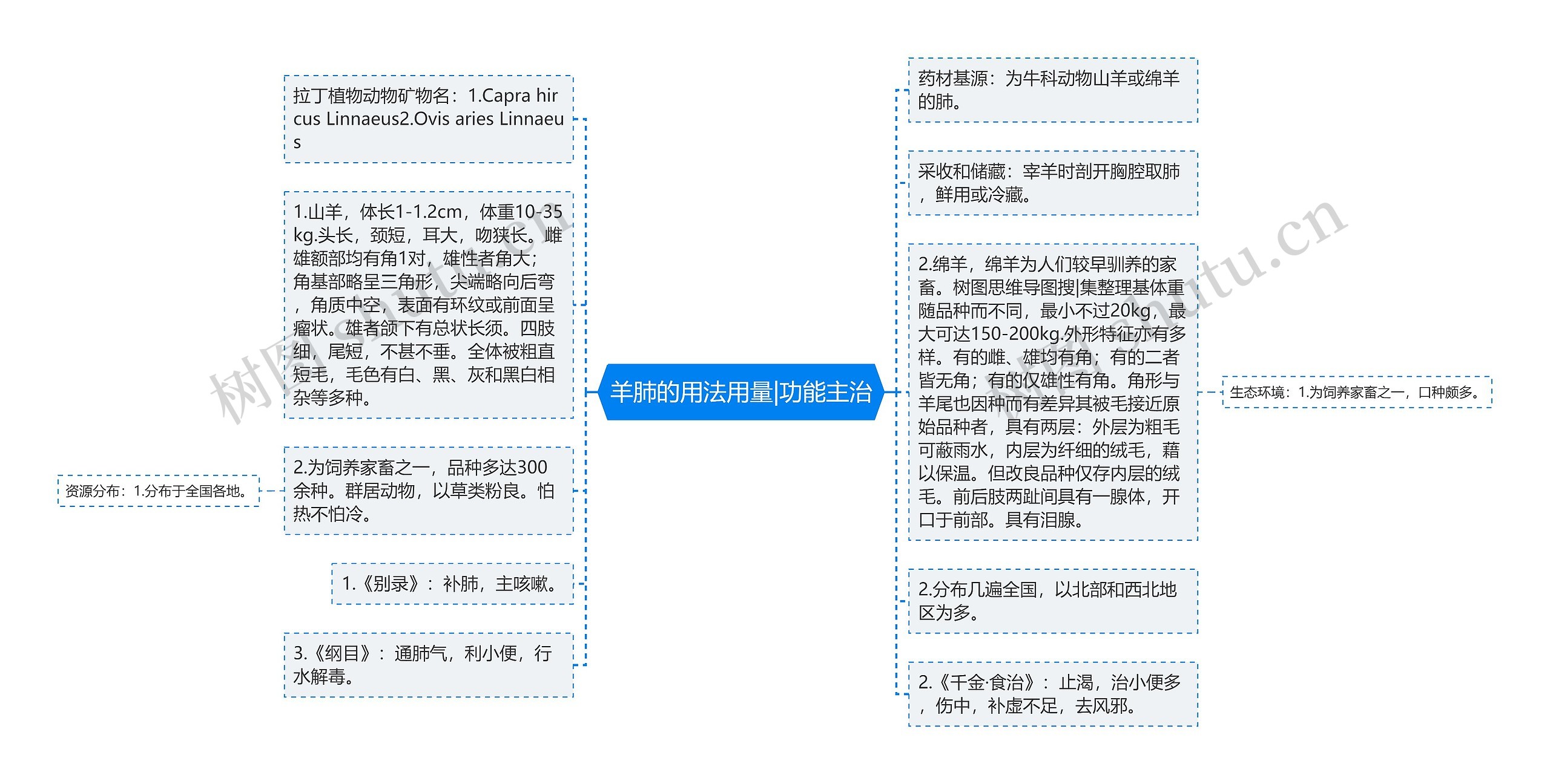 羊肺的用法用量|功能主治