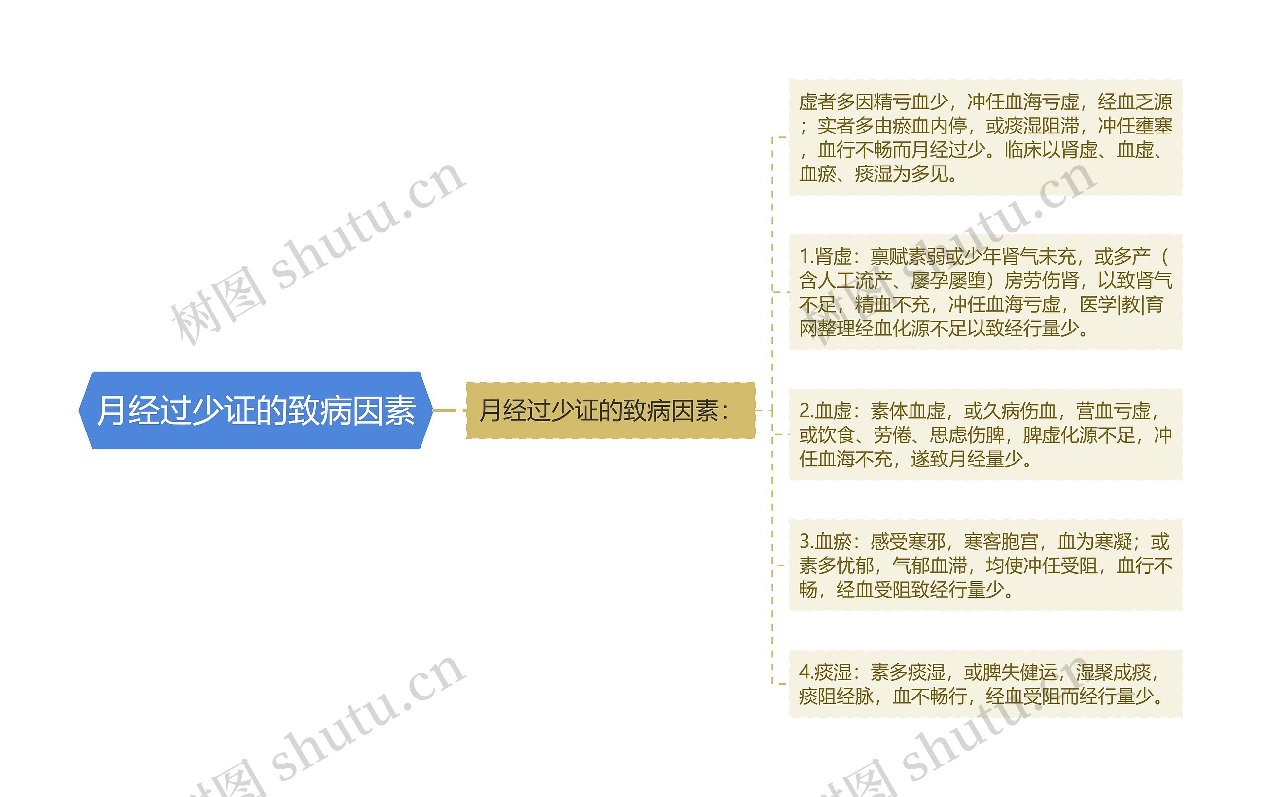 月经过少证的致病因素
