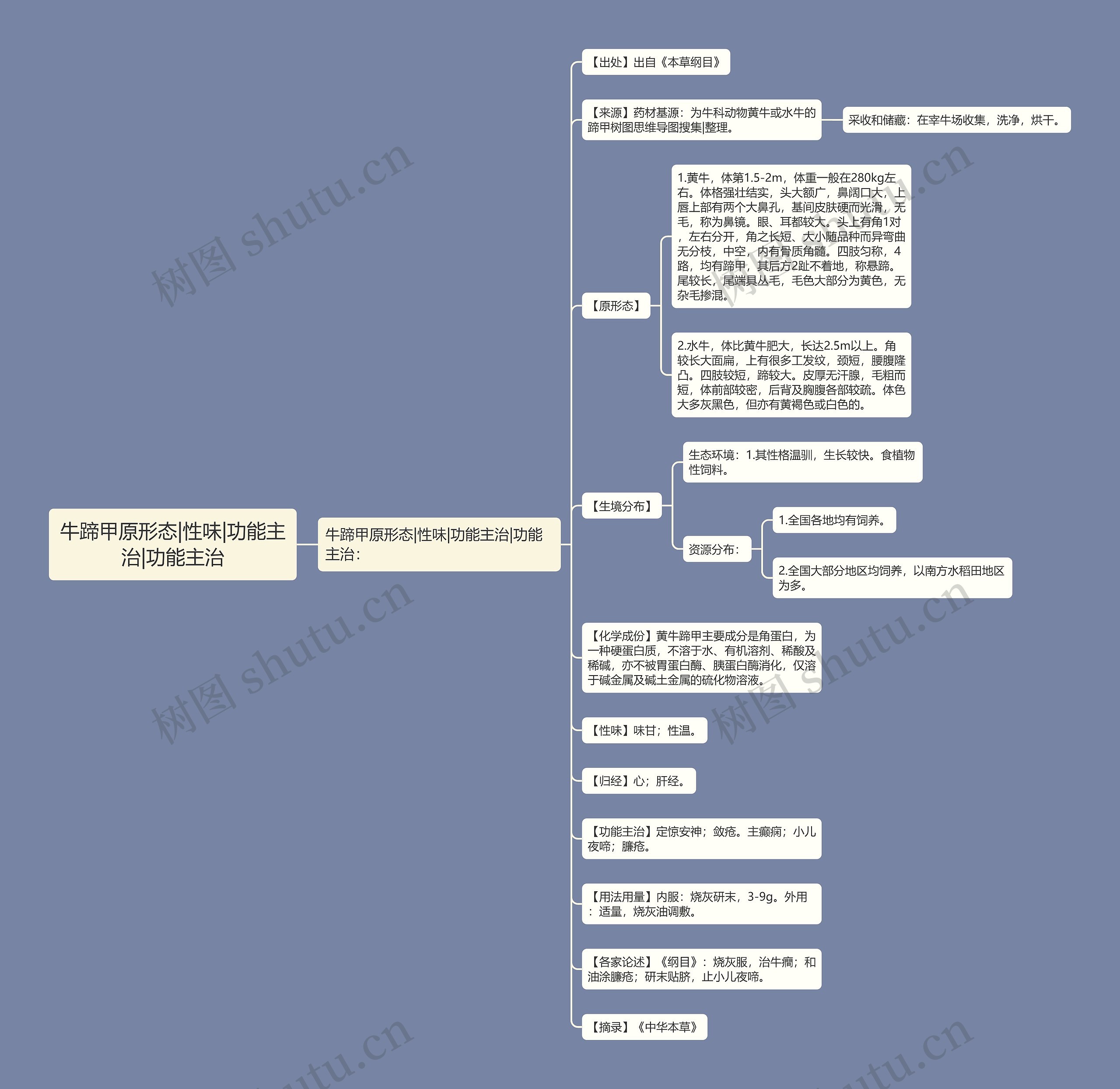 牛蹄甲原形态|性味|功能主治|功能主治思维导图