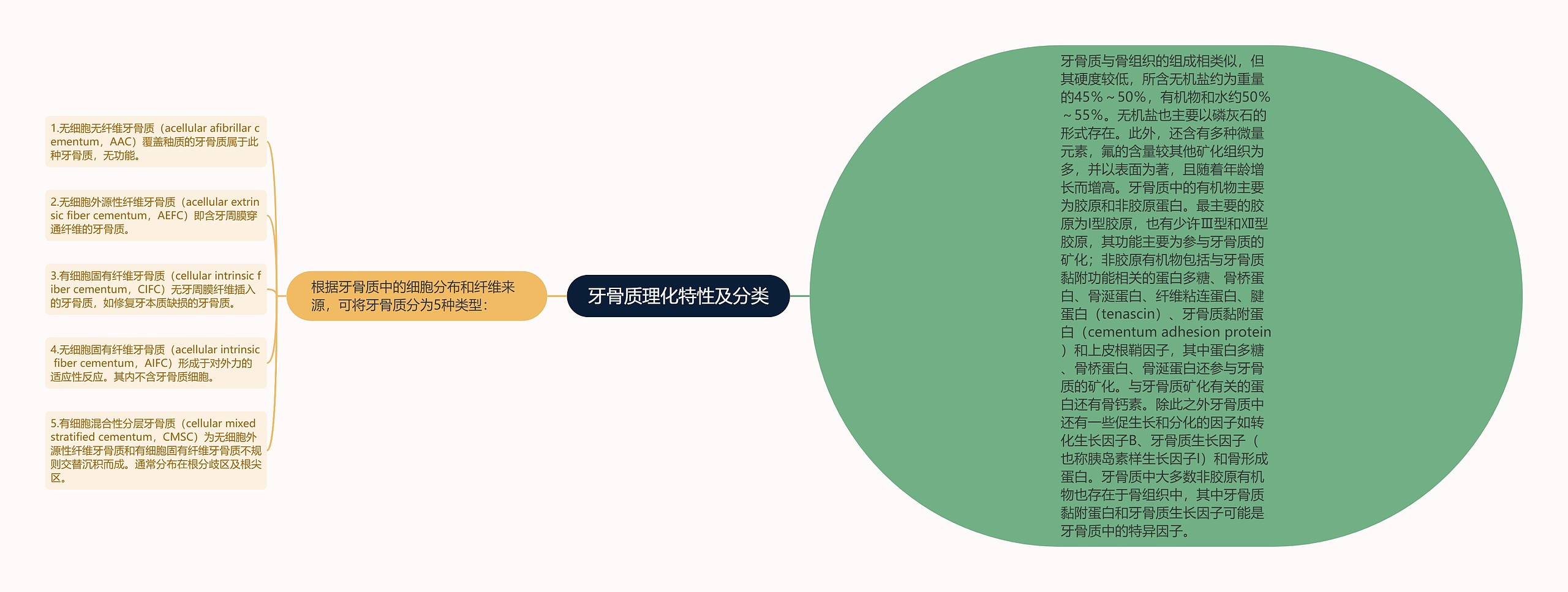 牙骨质理化特性及分类