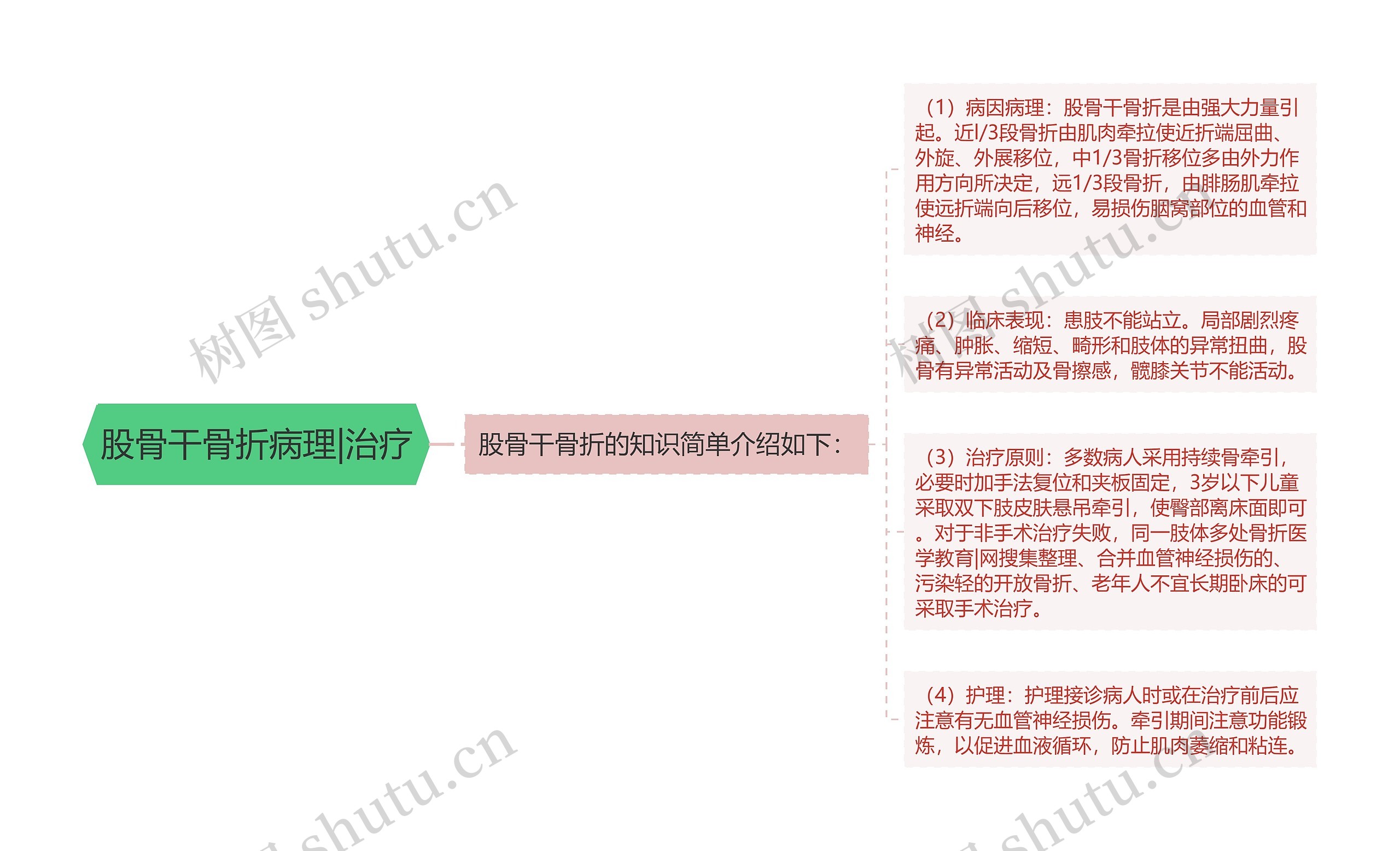 股骨干骨折病理|治疗 股骨干骨折病理|治疗