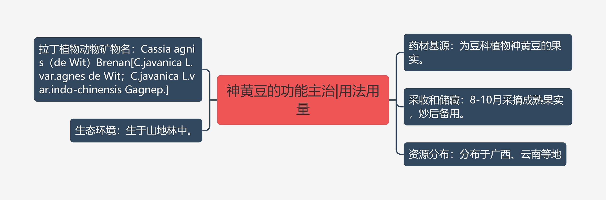 神黄豆的功能主治|用法用量思维导图