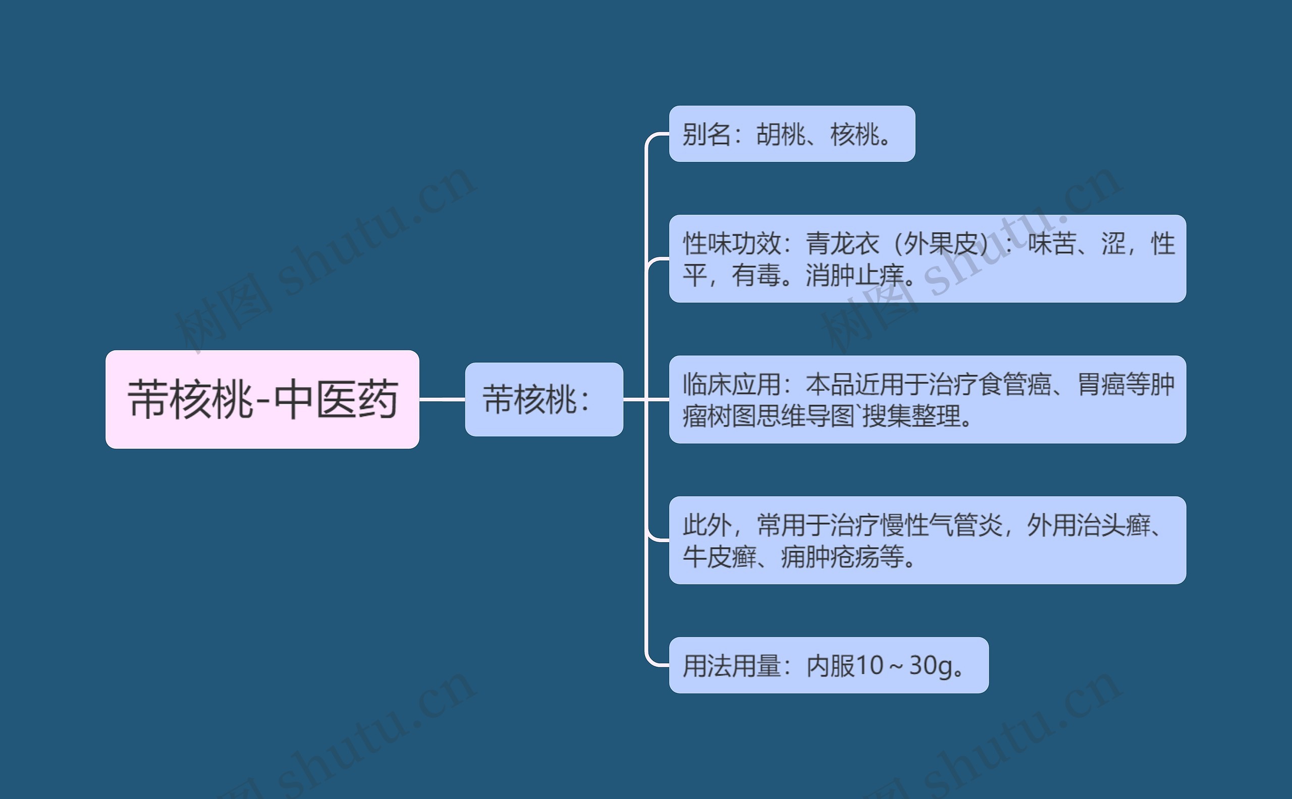 芾核桃-中医药思维导图