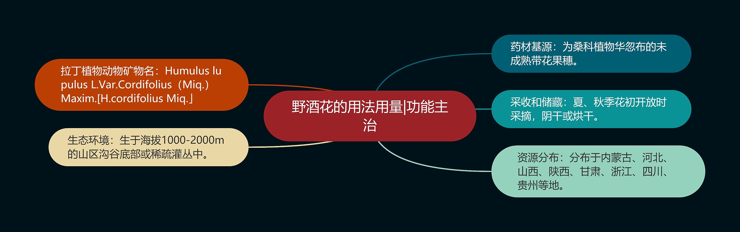 野酒花的用法用量|功能主治 野酒花的用法用量|功能主治