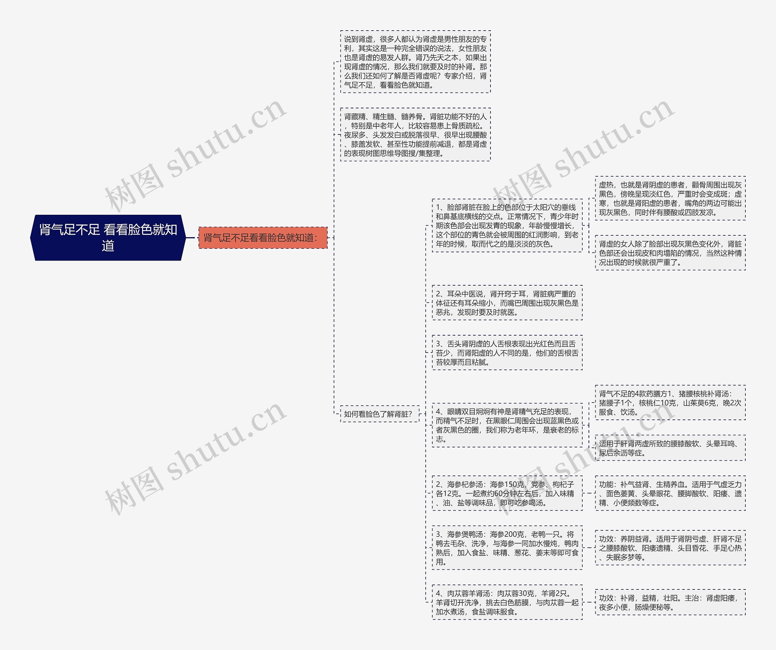 肾气足不足 看看脸色就知道思维导图