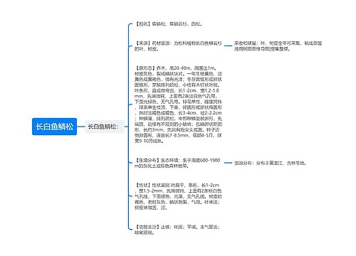 长白鱼鳞松