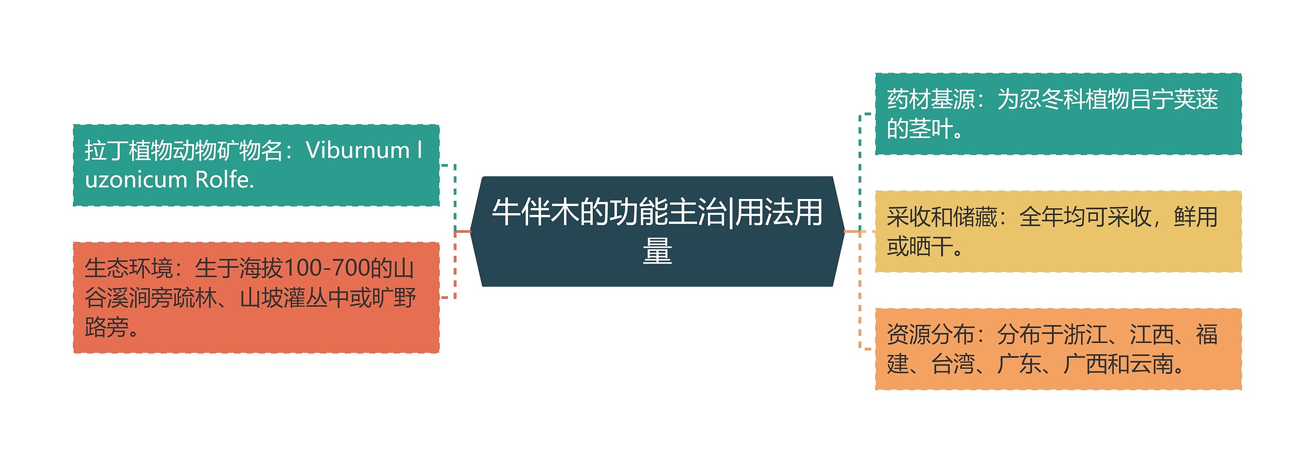 牛伴木的功能主治|用法用量 牛伴木的功能主治|用法用量