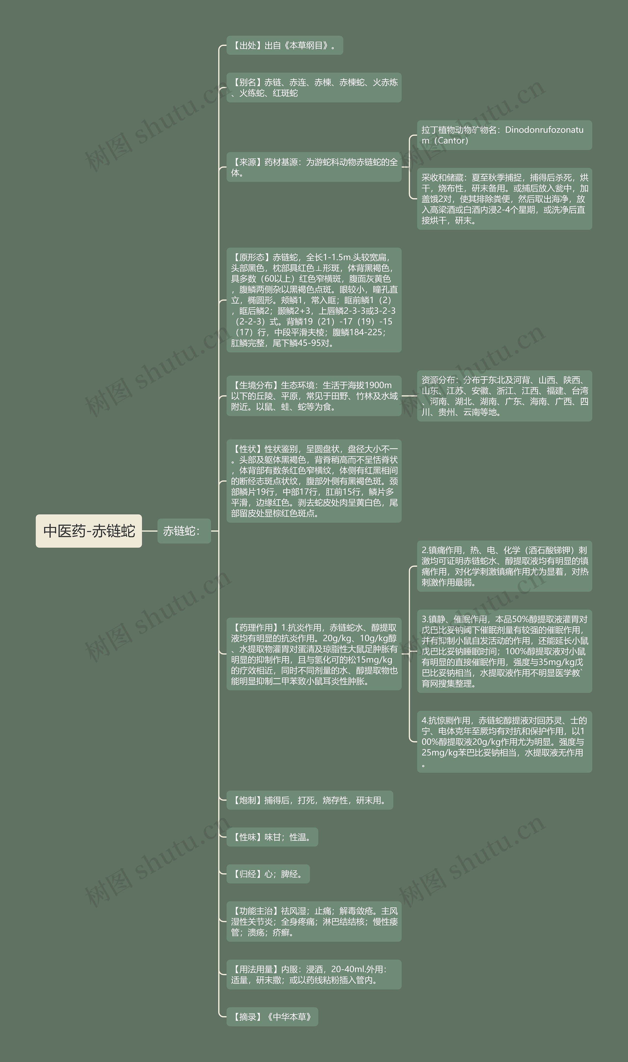 中医药-赤链蛇思维导图