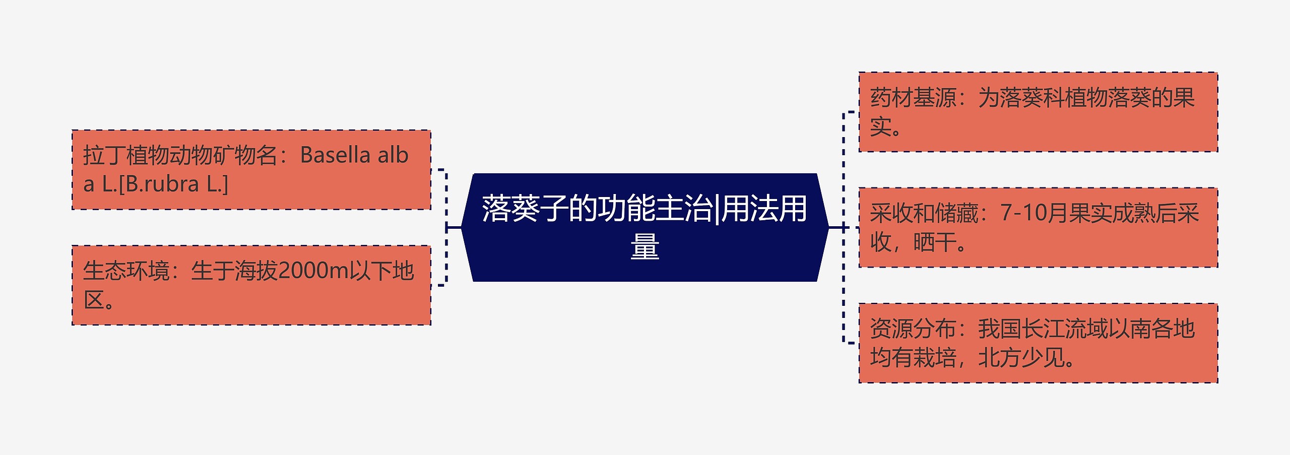 落葵子的功能主治|用法用量 落葵子的功能主治|用法用量