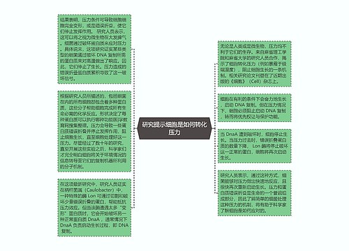 研究提示细胞是如何转化压力