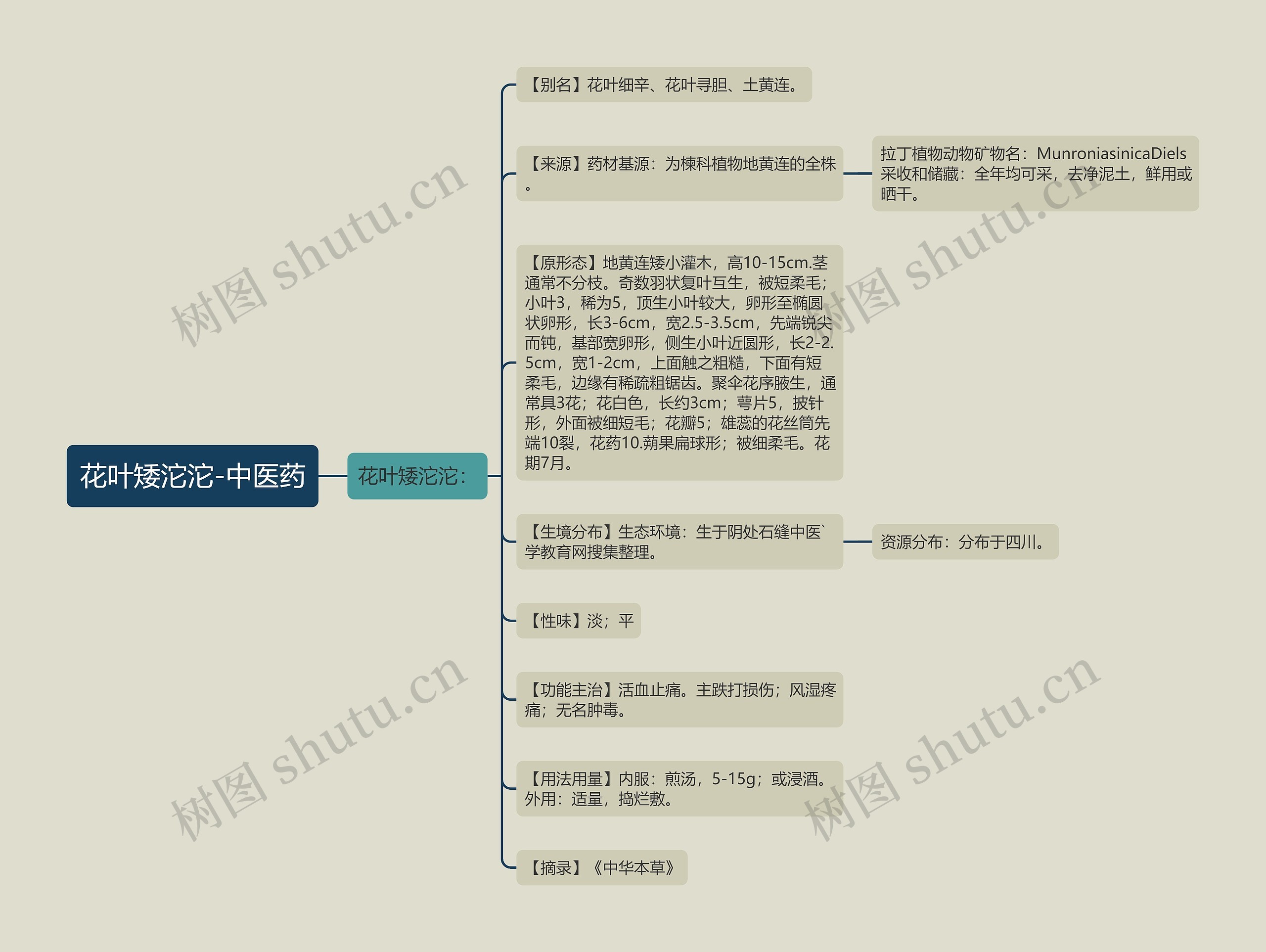 花叶矮沱沱-中医药 花叶矮沱沱-中医药