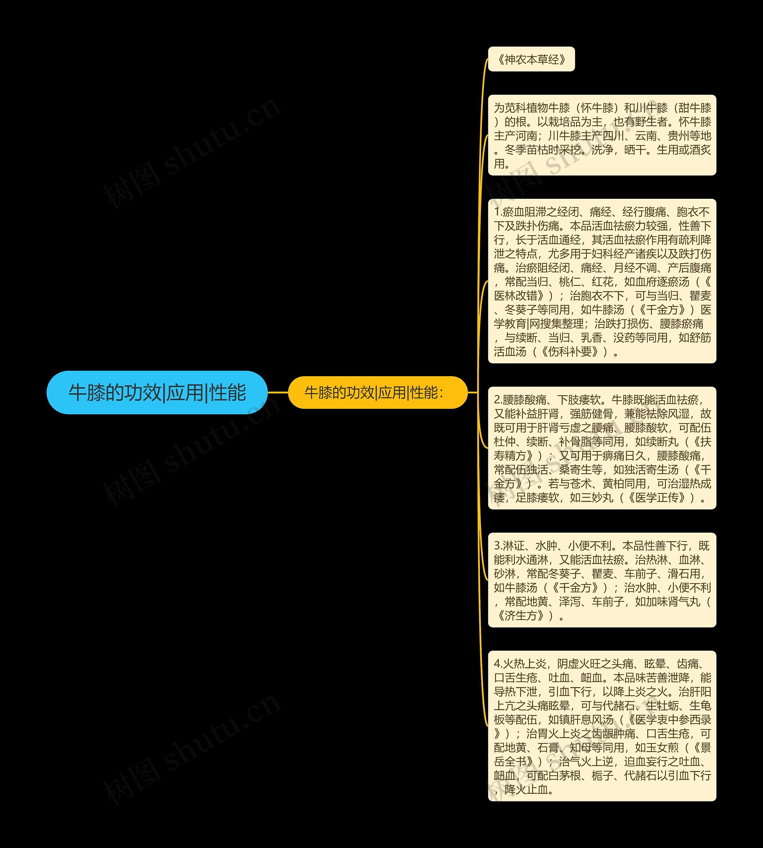 牛膝的功效|应用|性能思维导图