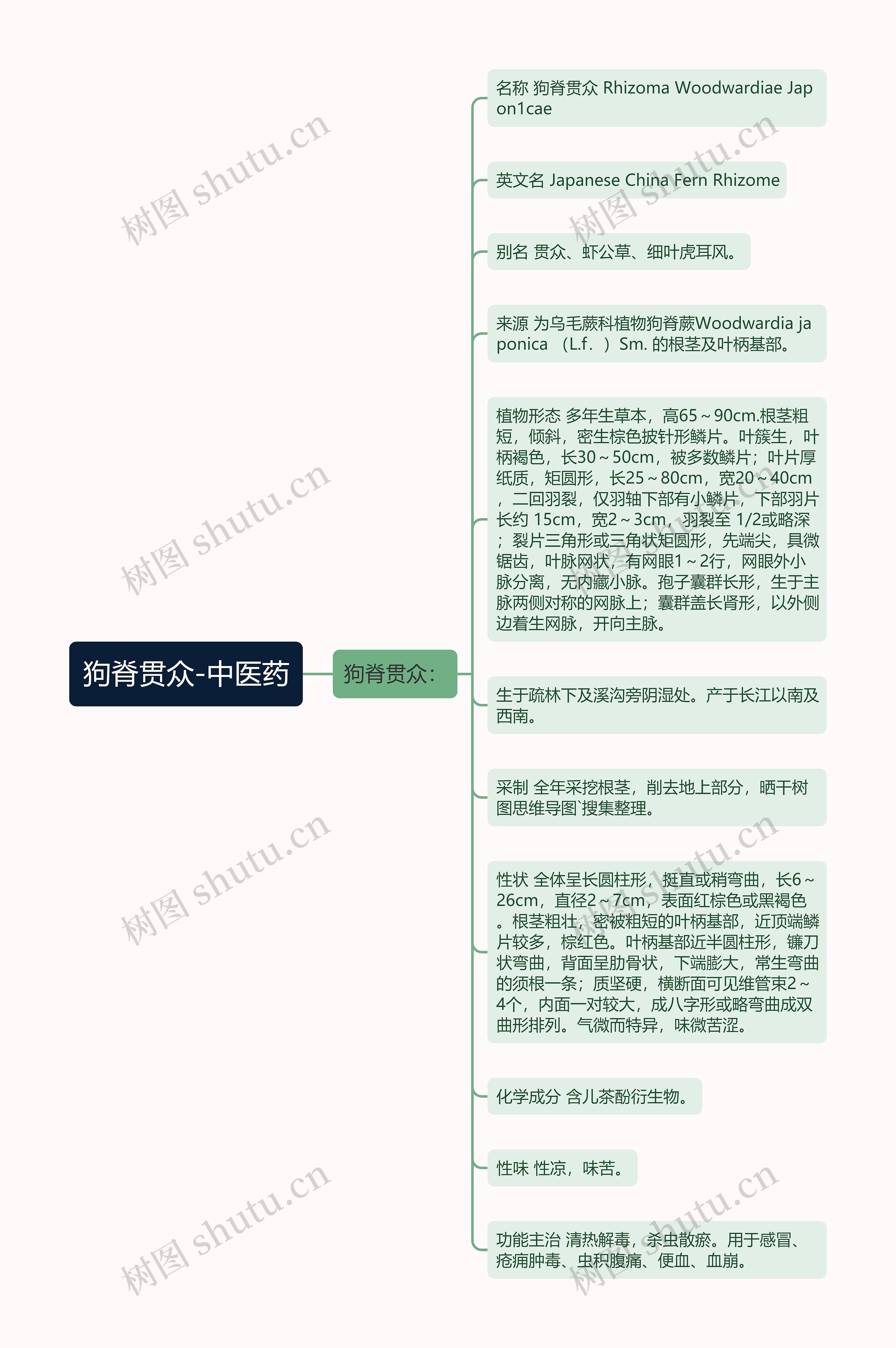 狗脊贯众-中医药 狗脊贯众-中医药