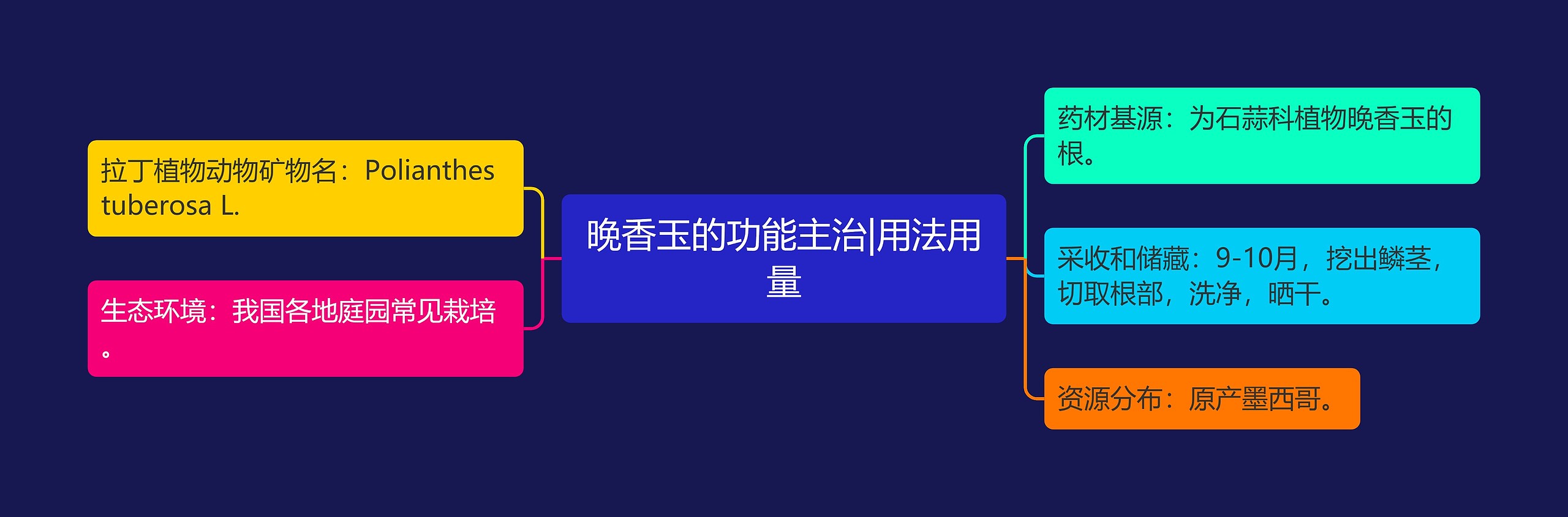 晚香玉的功能主治|用法用量 晚香玉的功能主治|用法用量