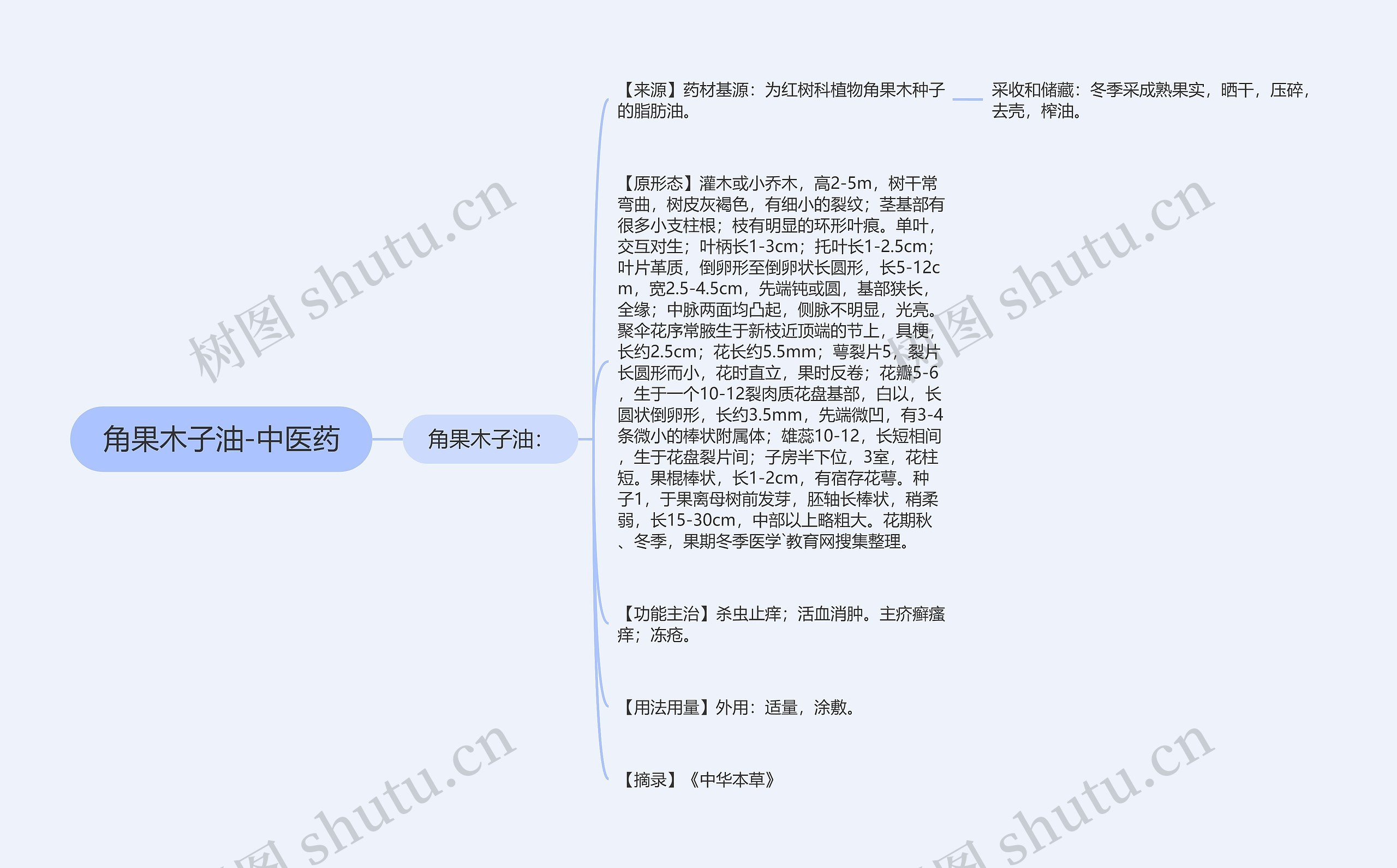 角果木子油-中医药思维导图