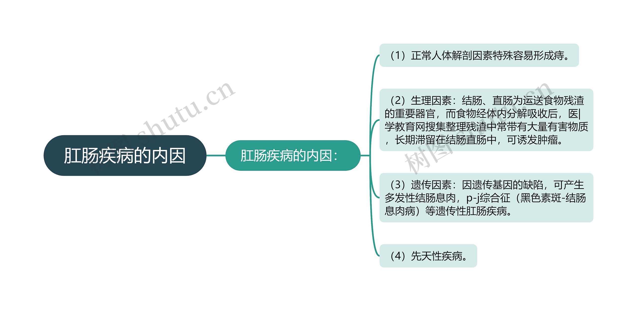 肛肠疾病的内因