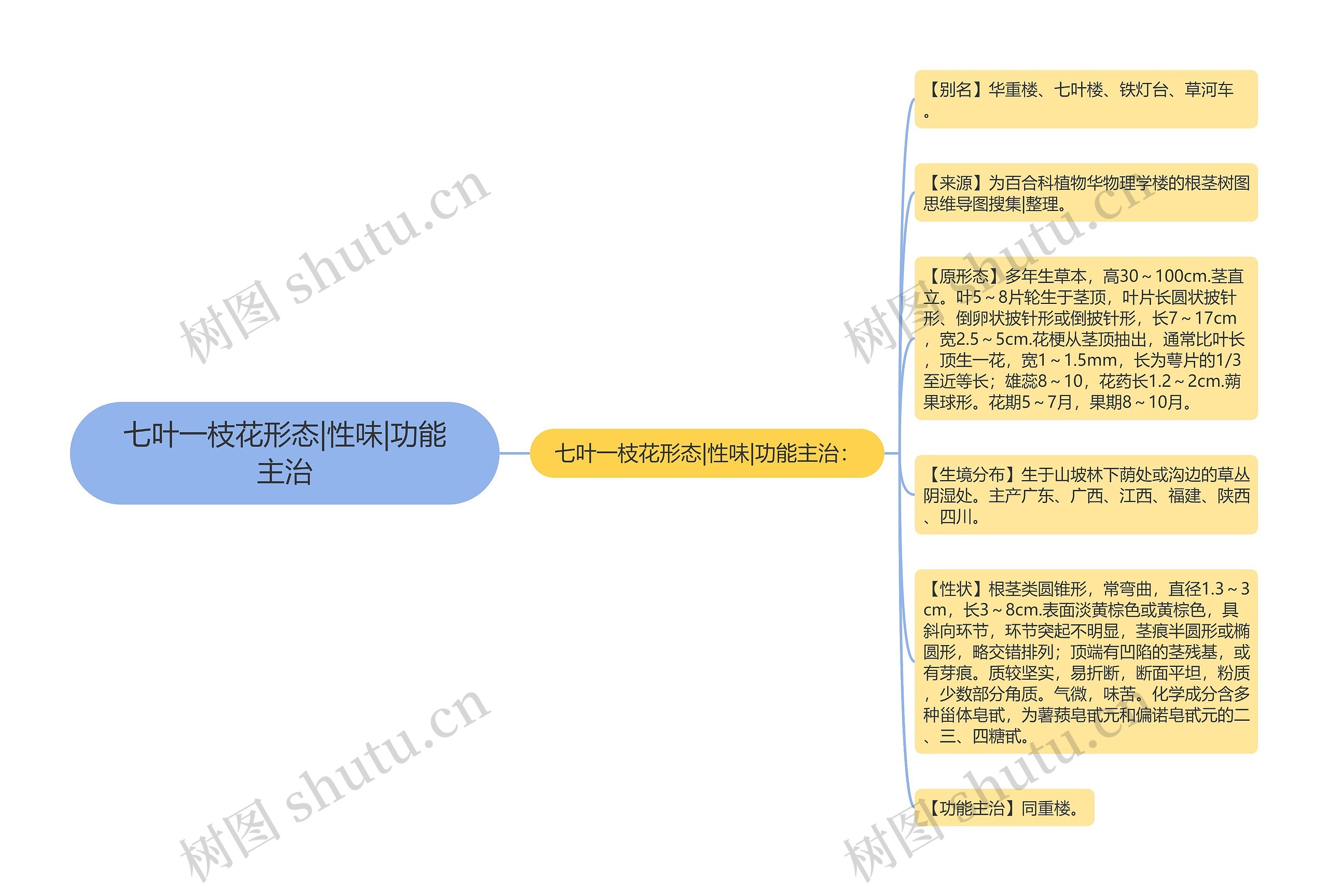 七叶一枝花形态|性味|功能主治思维导图