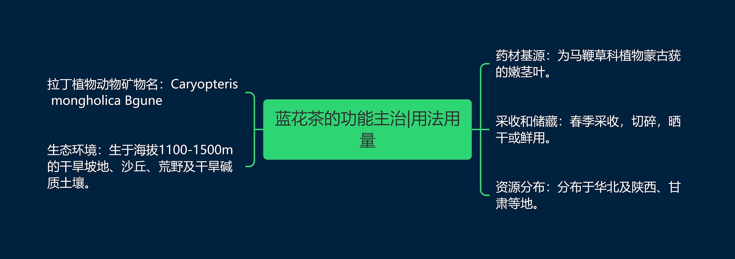 蓝花茶的功能主治|用法用量 蓝花茶的功能主治|用法用量