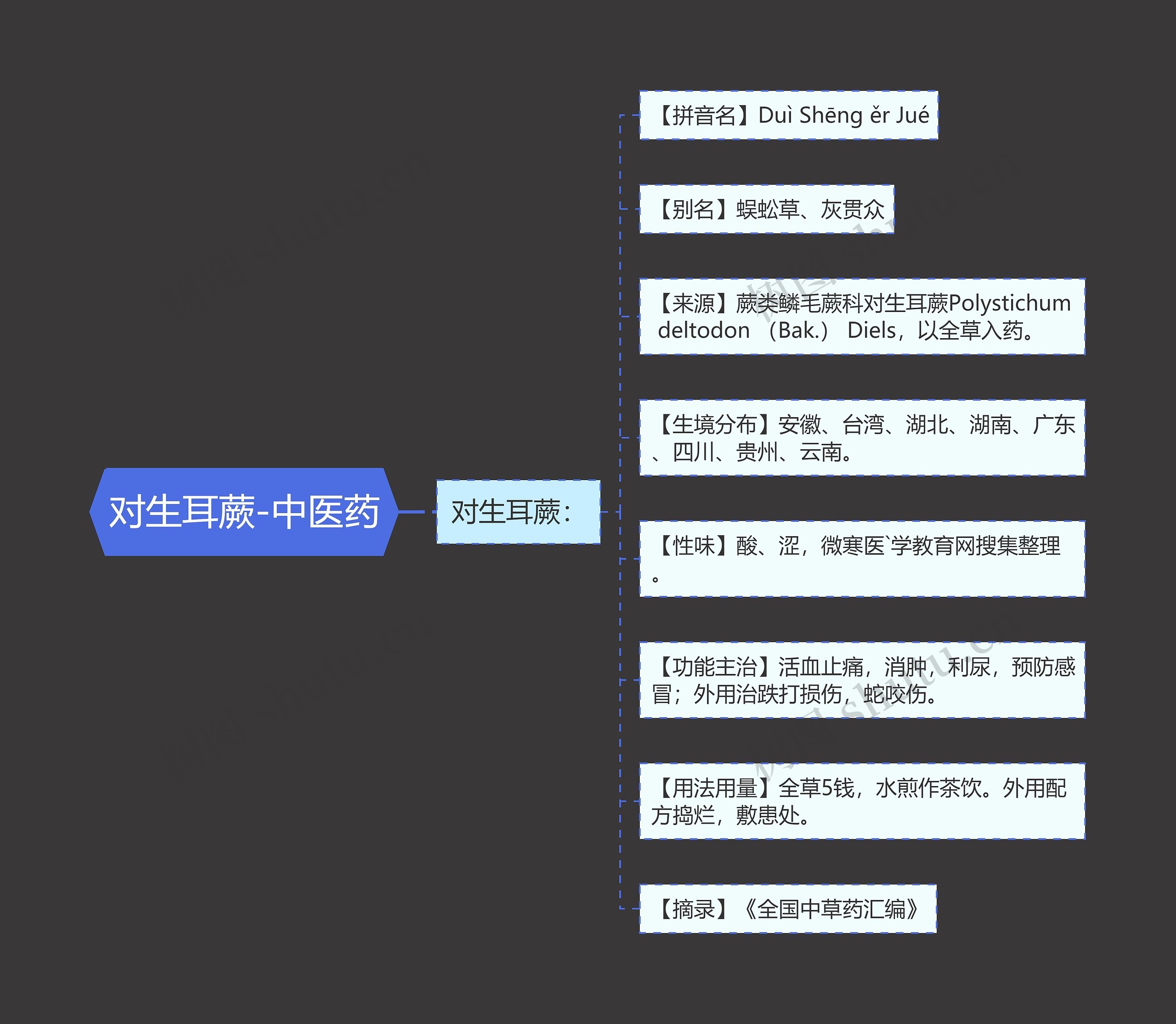 对生耳蕨-中医药思维导图