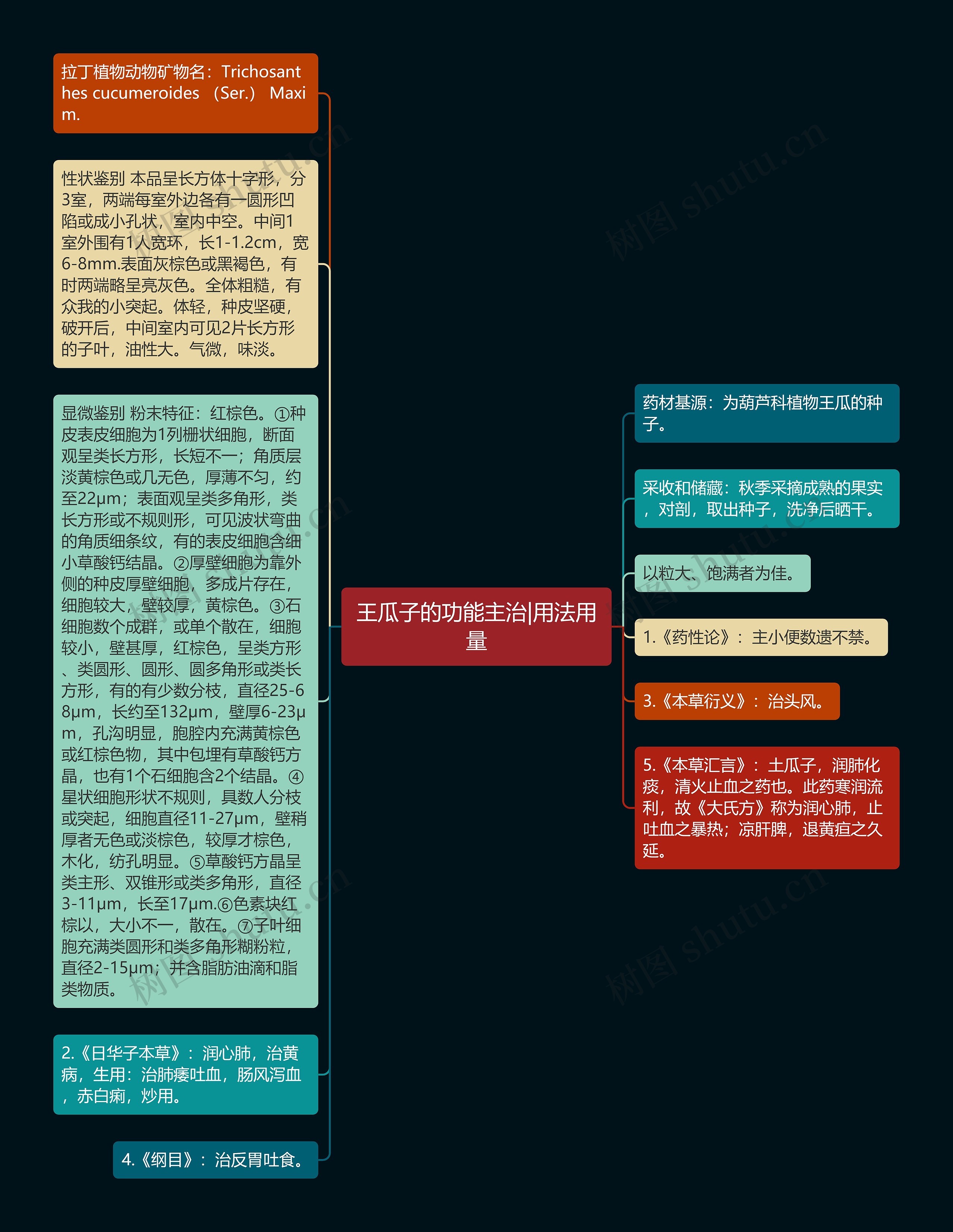 王瓜子的功能主治|用法用量思维导图