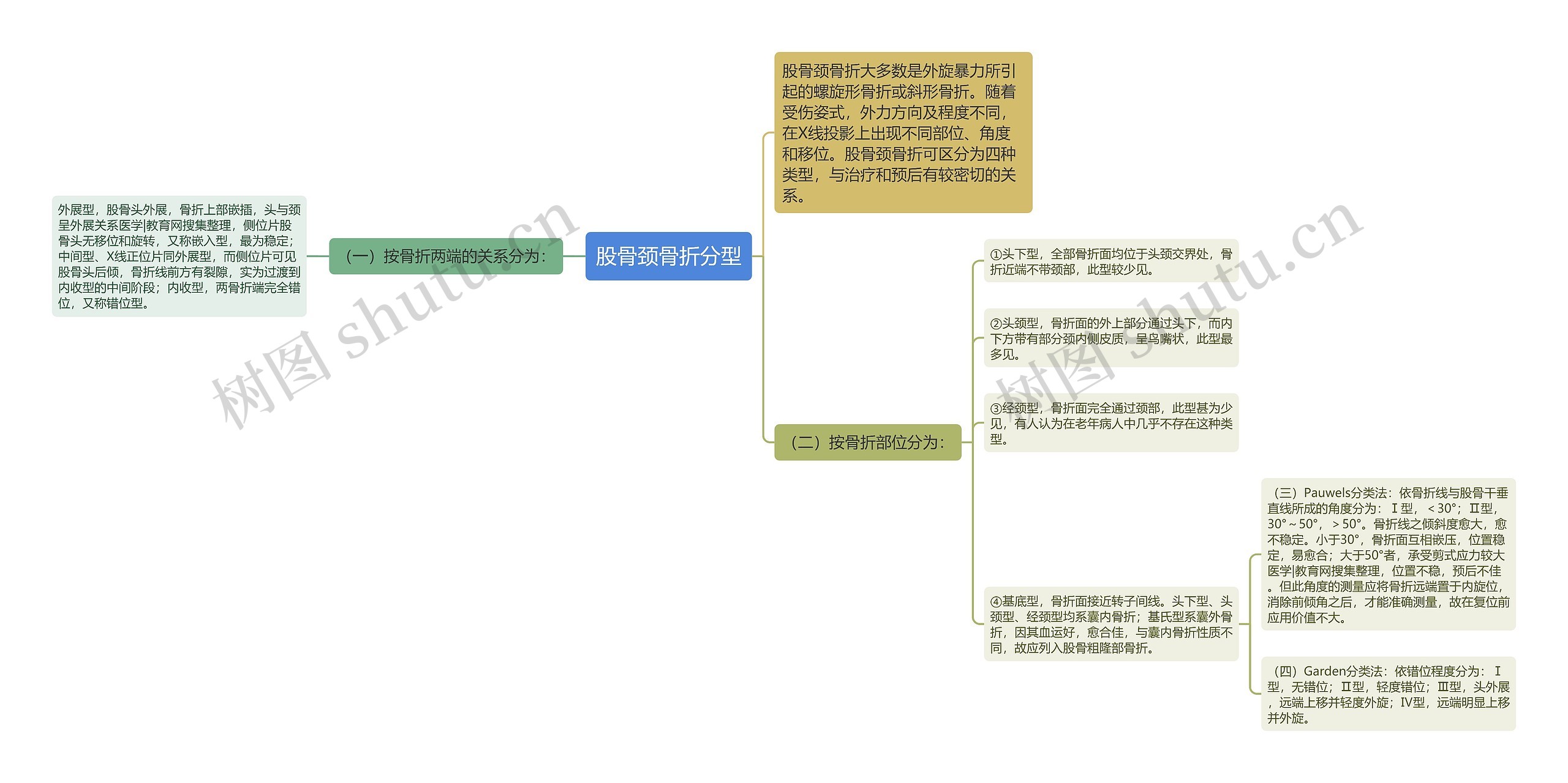 股骨颈骨折分型