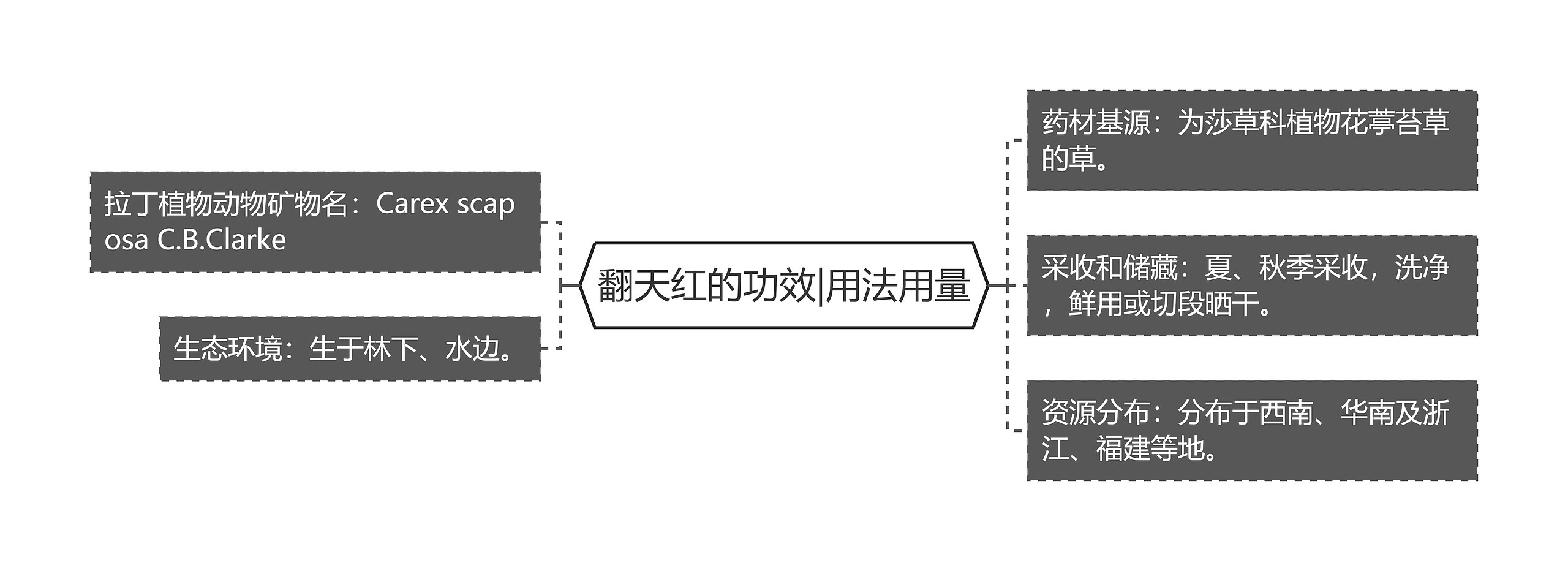 翻天红的功效|用法用量思维导图