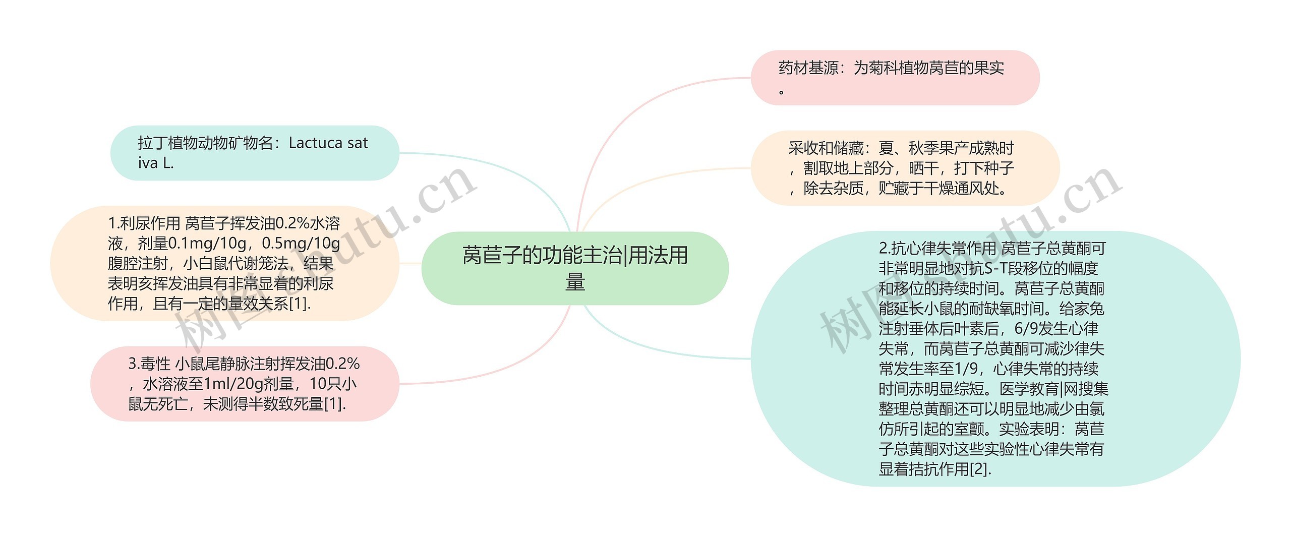 莴苣子的功能主治|用法用量思维导图