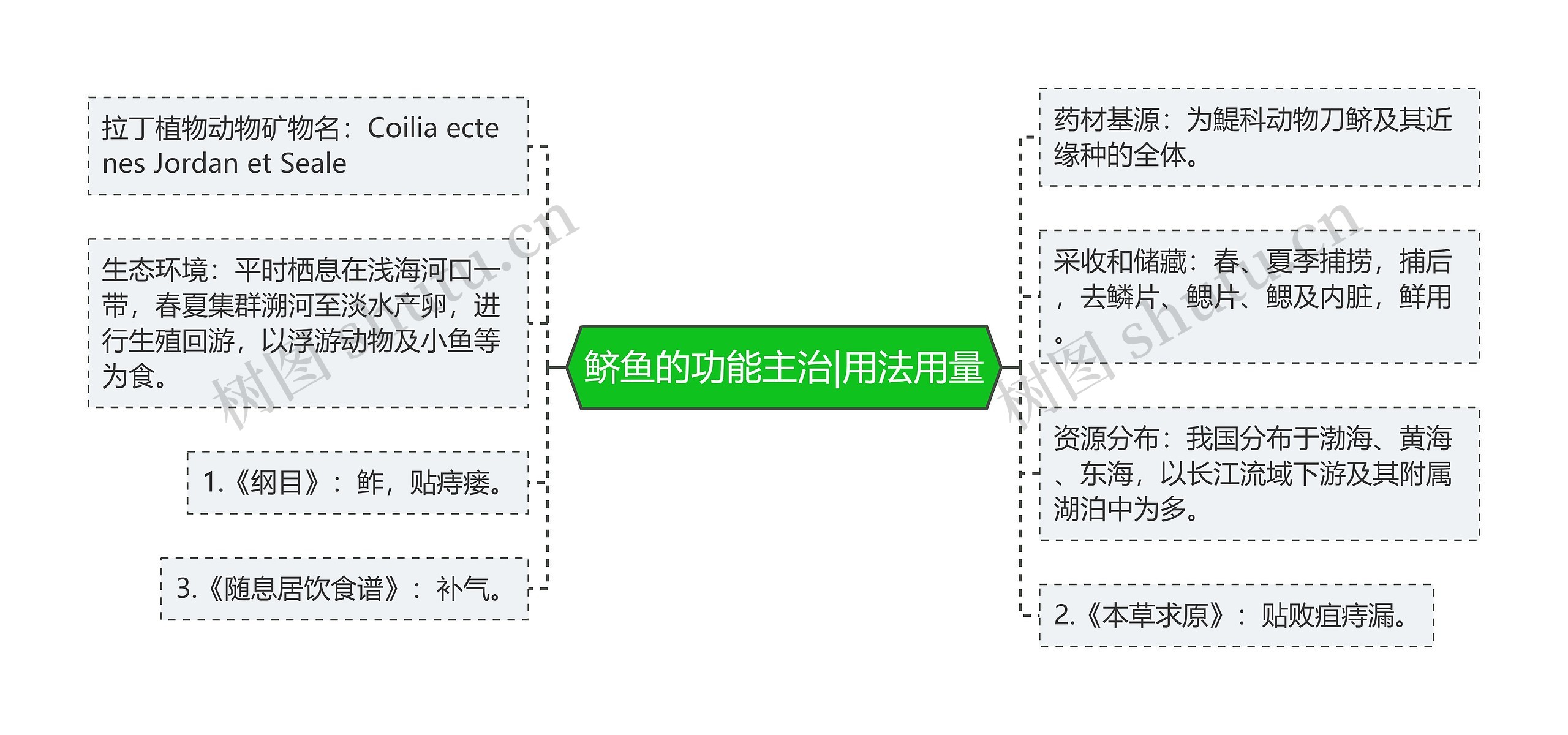 鲚鱼的功能主治|用法用量思维导图